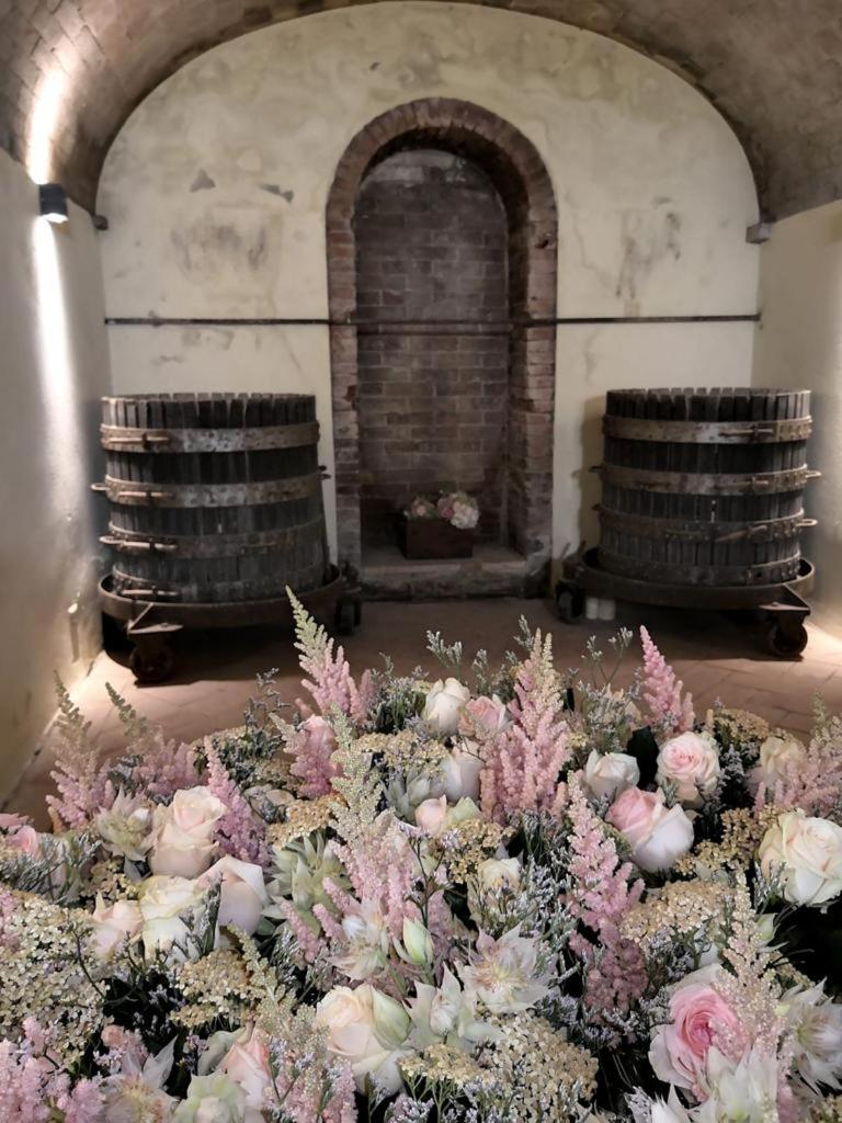 Tenuta Mocajo