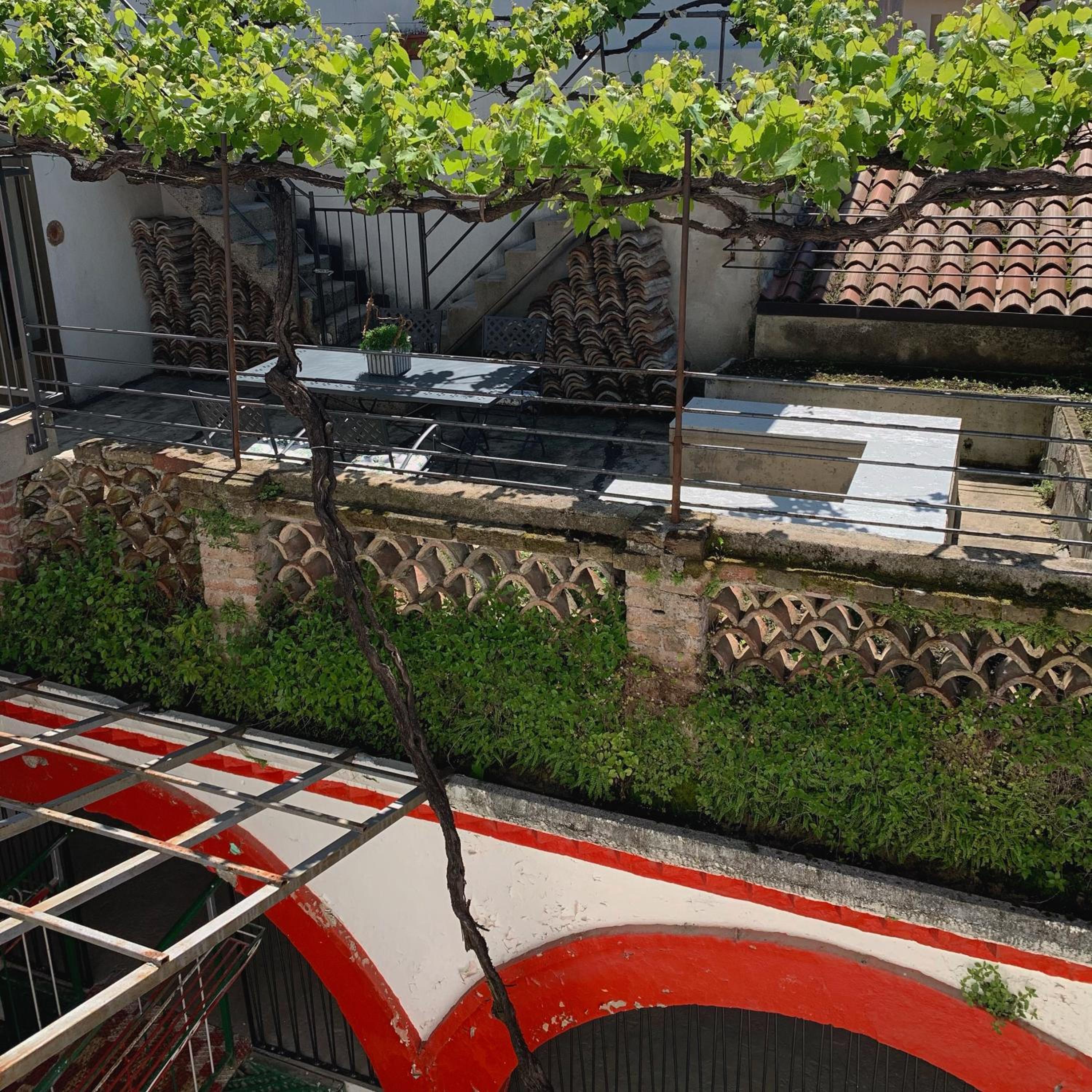Il Palazzetto - La terrazza di Elia view 4