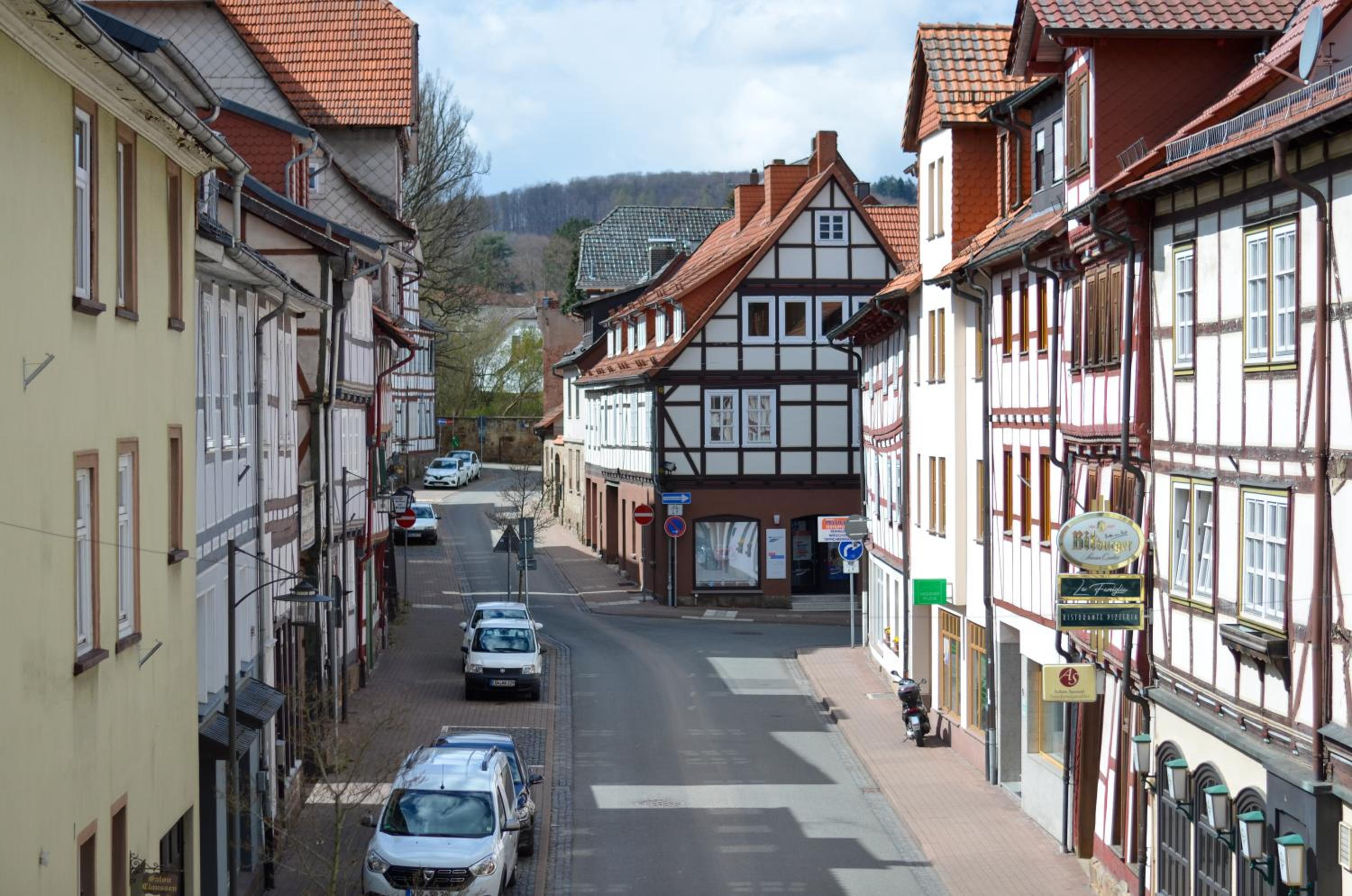 Buntspecht, photo 13