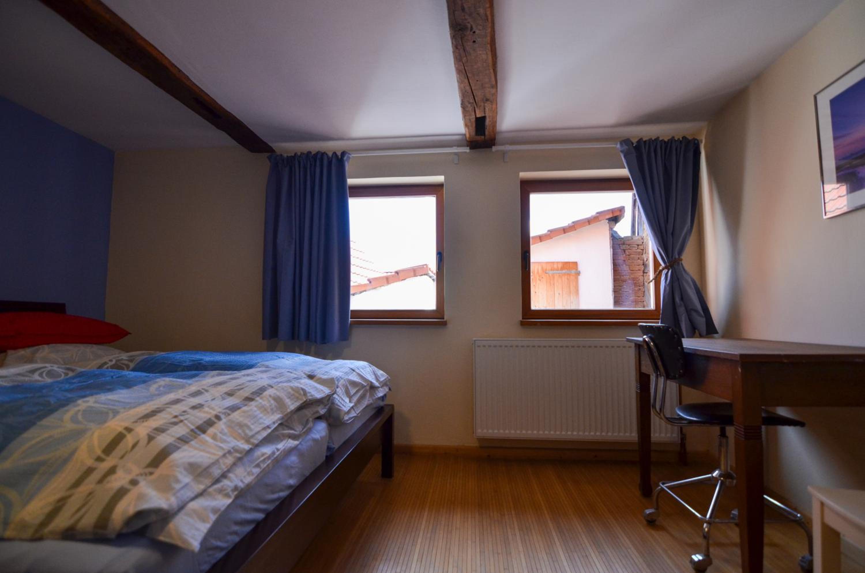 Buntspecht, photo 7