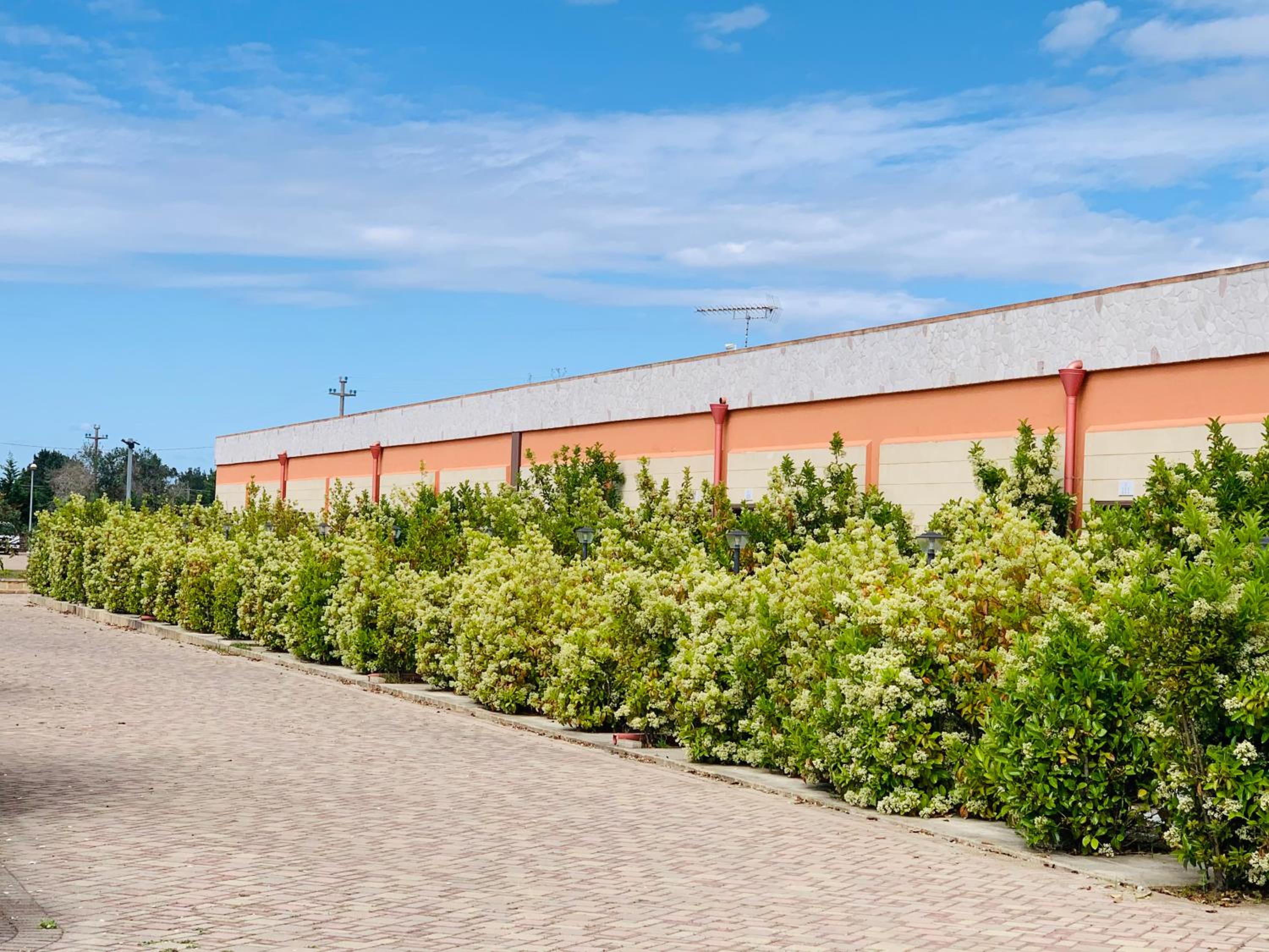 Agriturismo Tenuta Don Giovanni