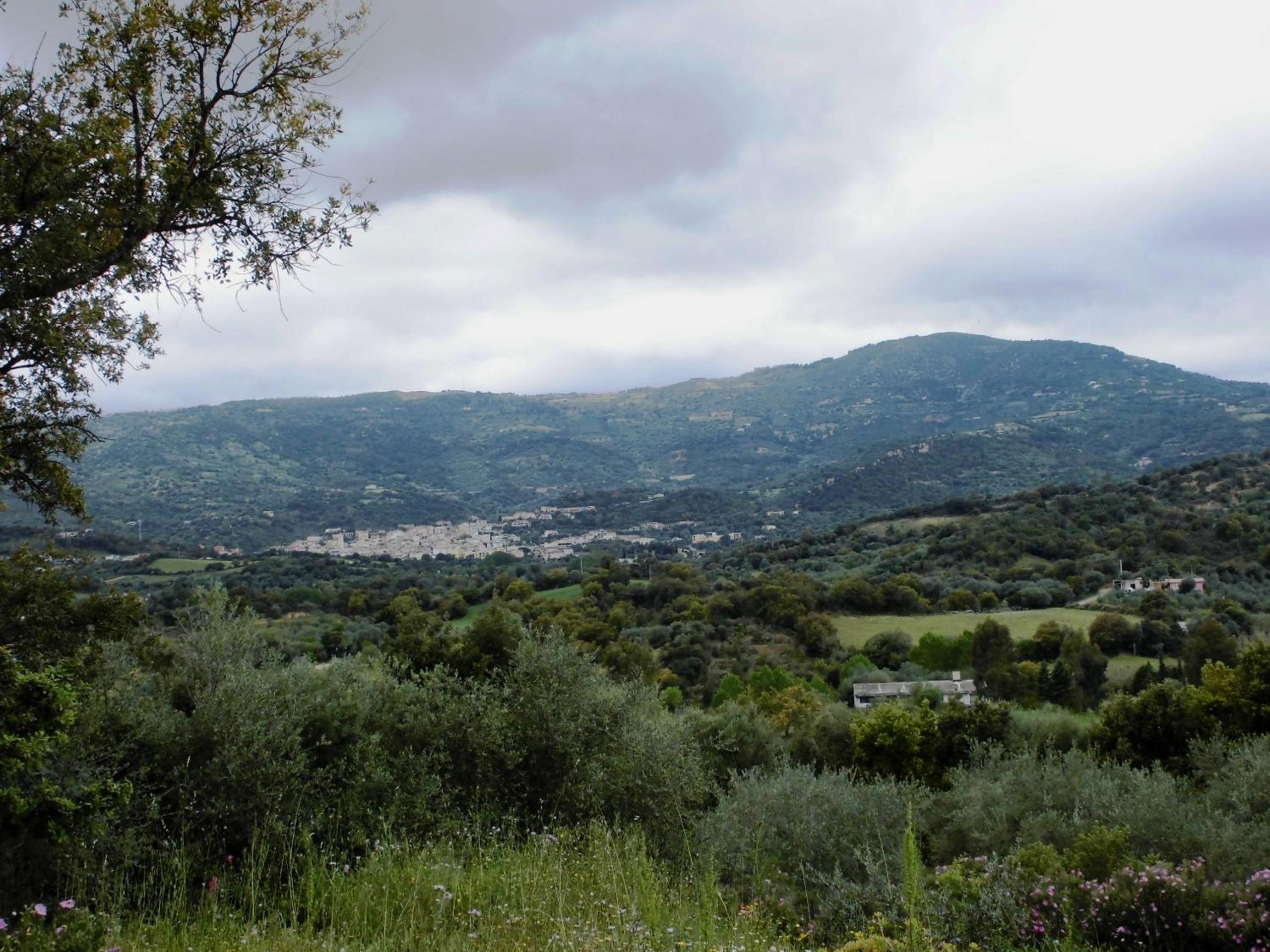 AGRITURISMO VIGNA DE' LUCERI view 2