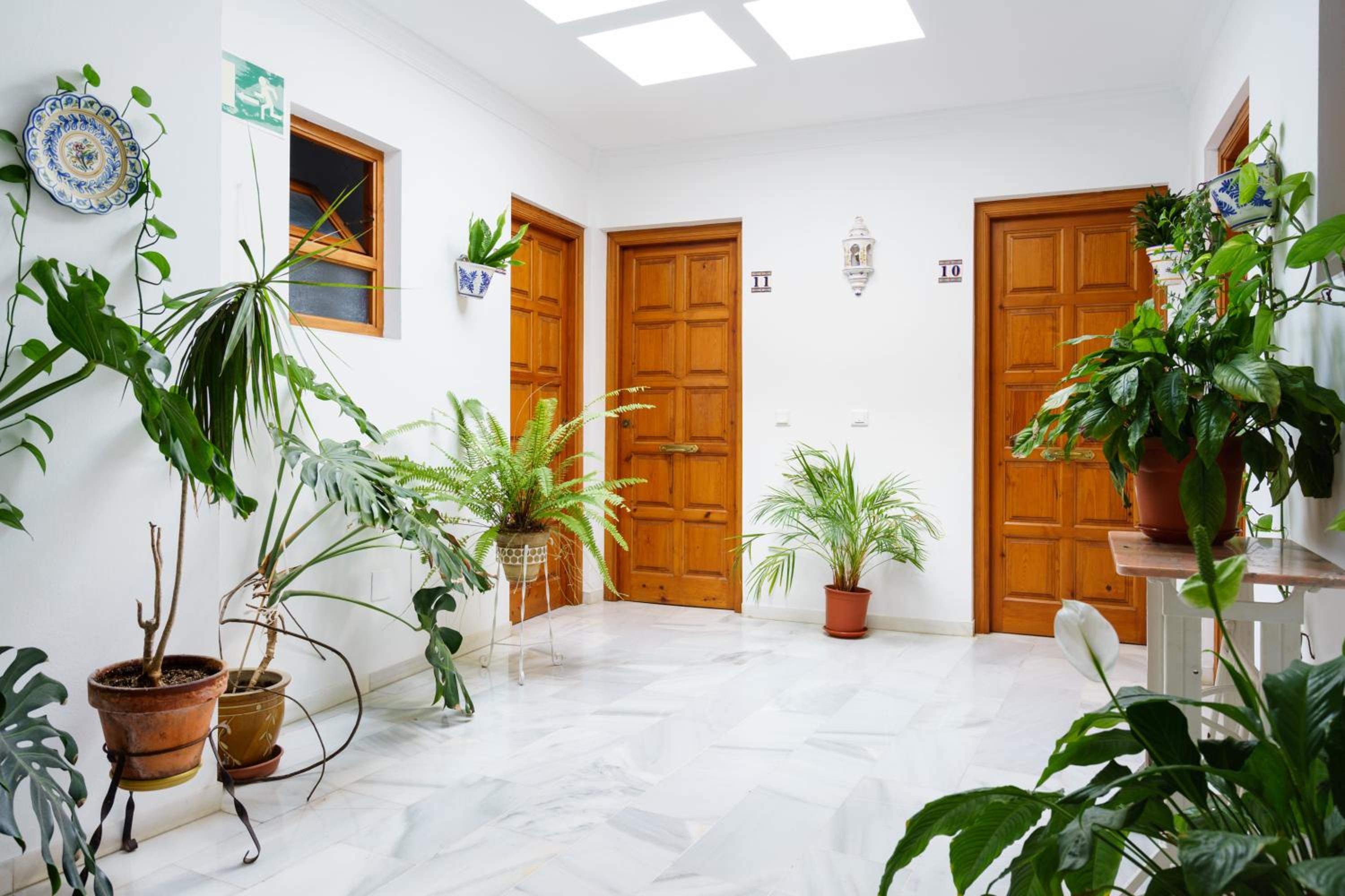 Apartamentos Pepe Mesa