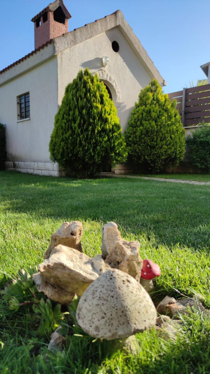 Photo 38