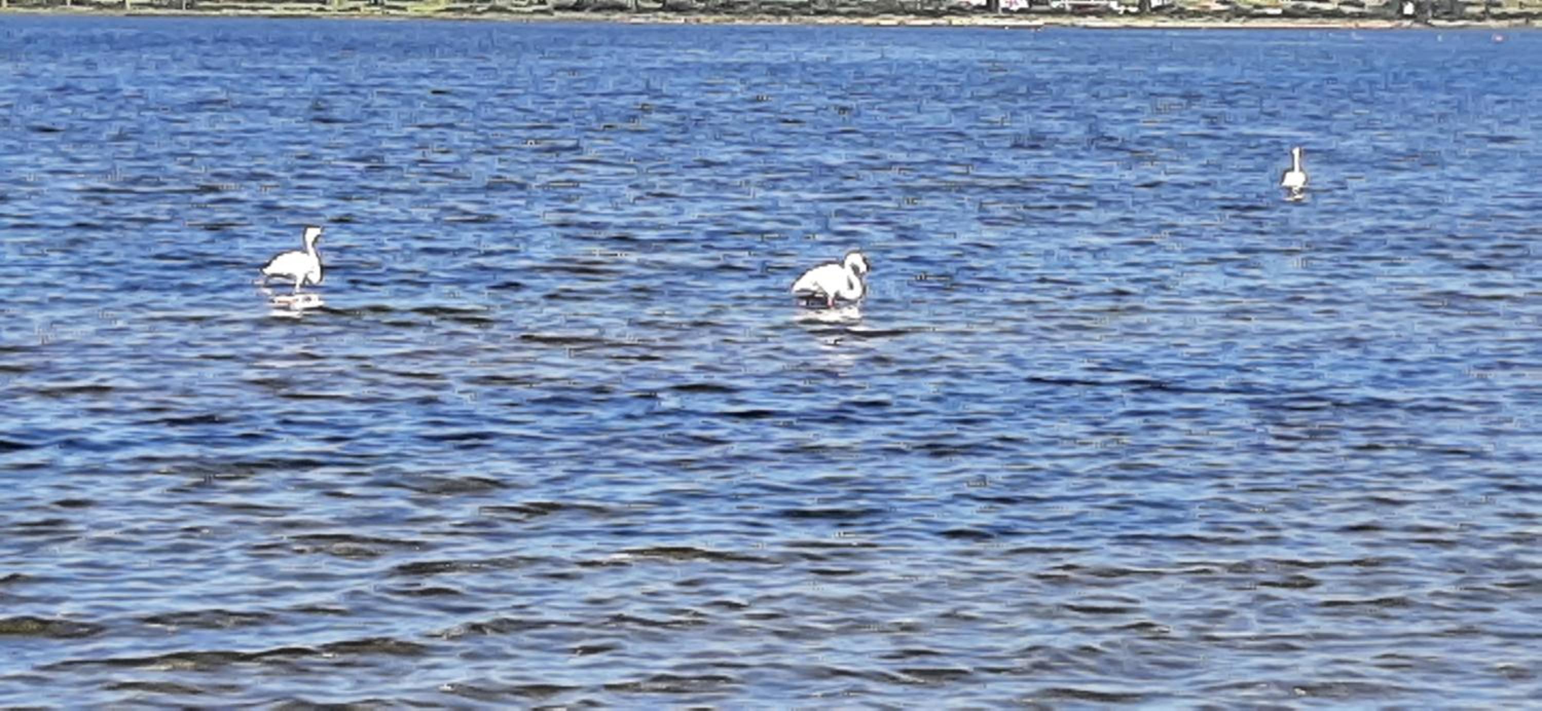 Photo 37