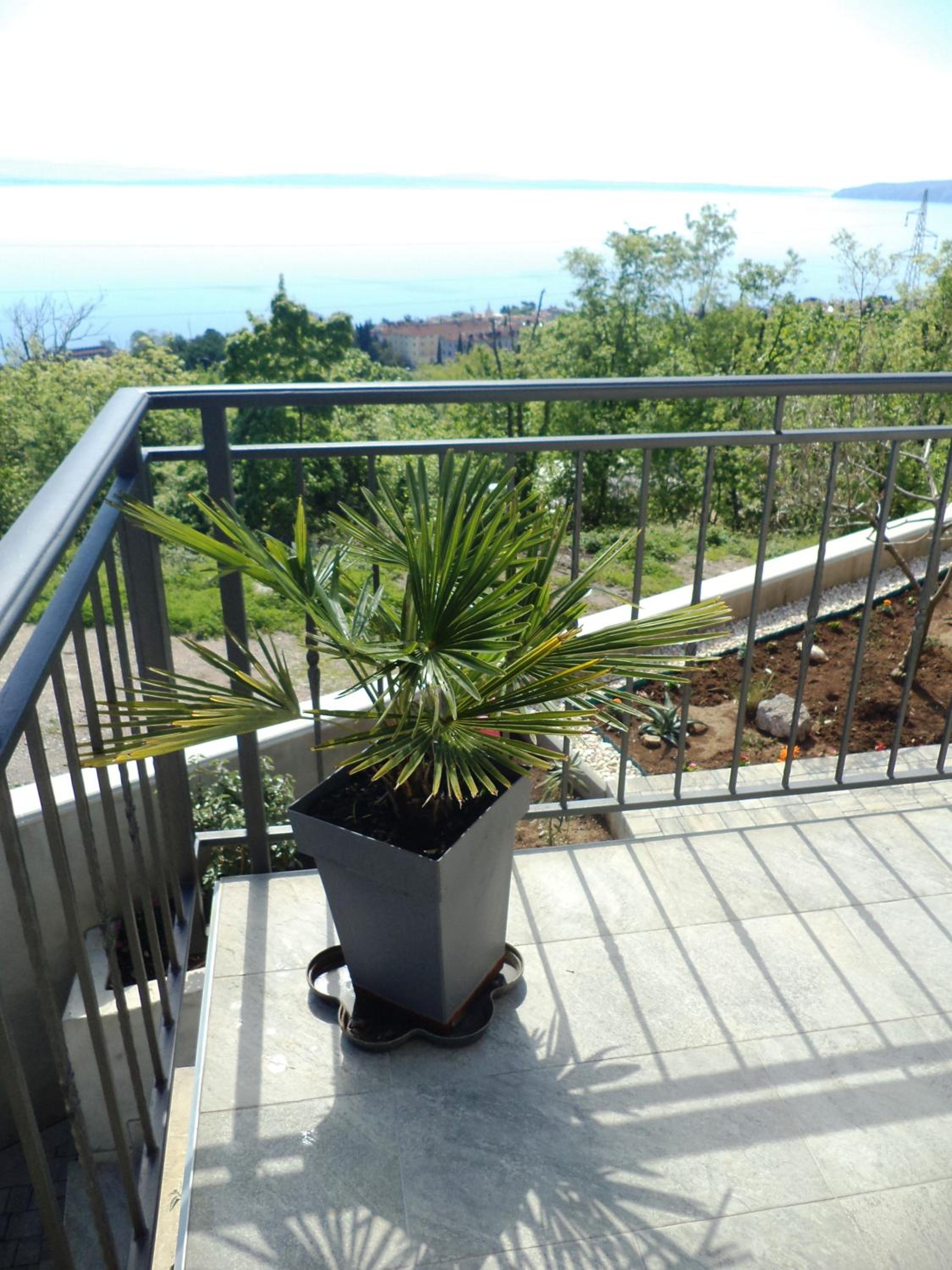 Apartment Ivy2 view 5