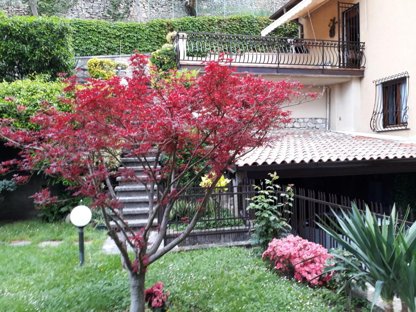 Giardino dei Limoni view 2