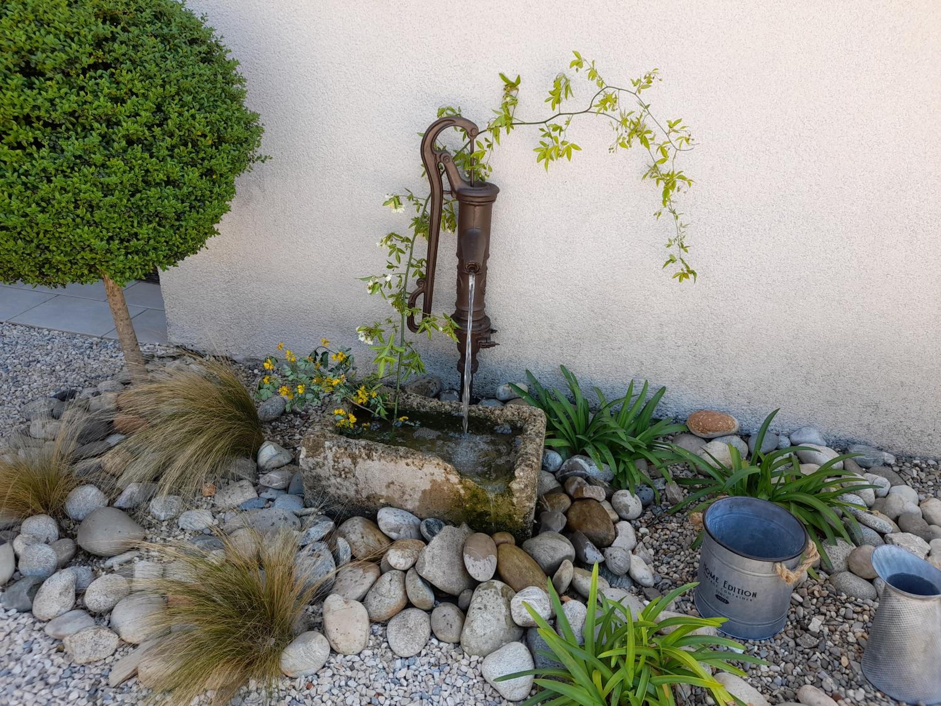 Photo 7