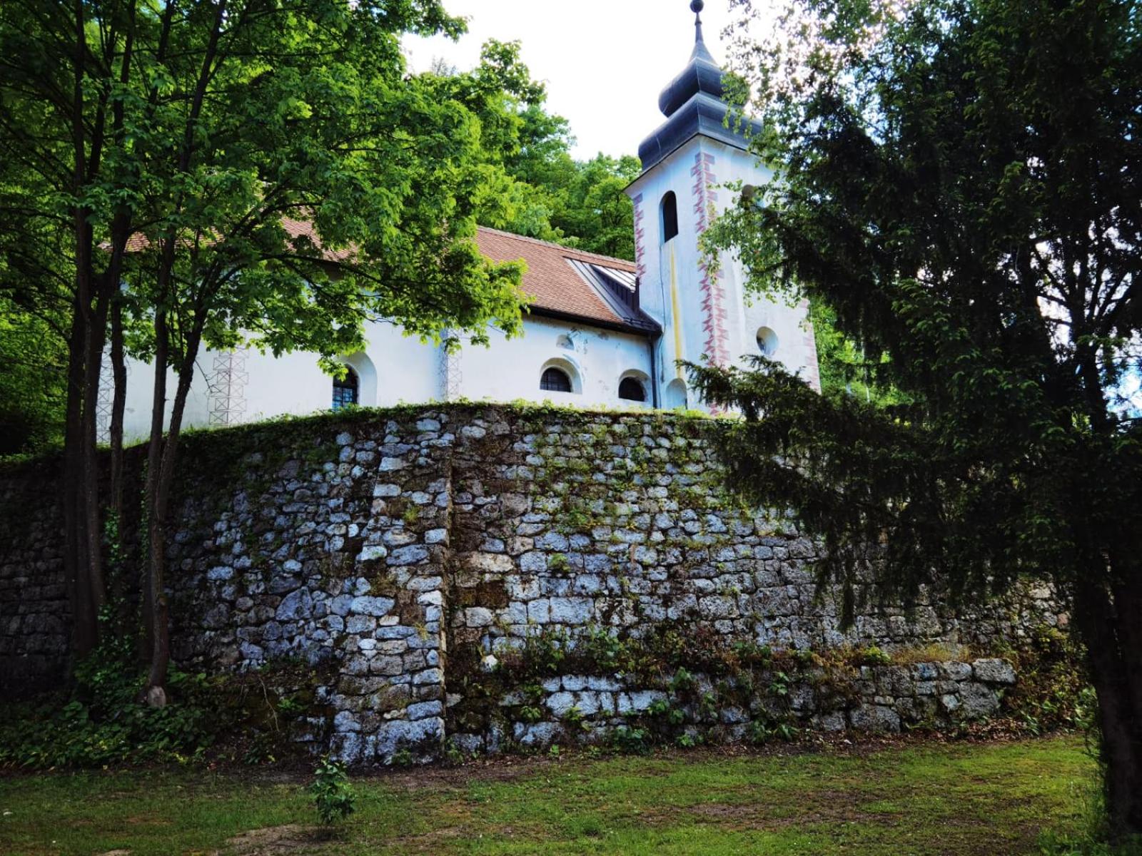 Photo 11