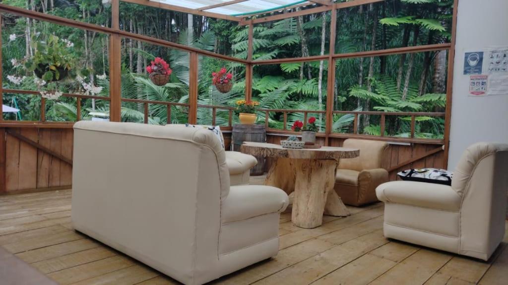 Hotel Selva Verde view 3
