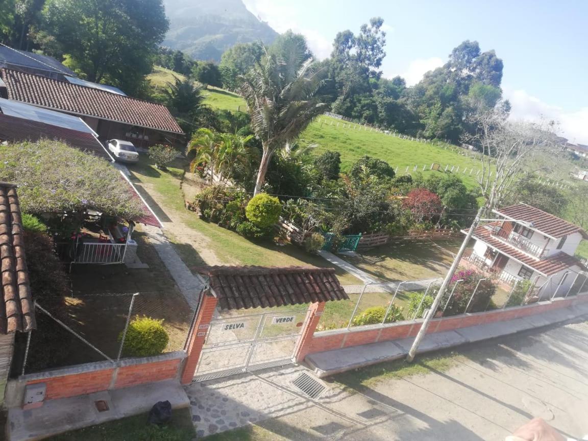 Hotel Selva Verde view 4