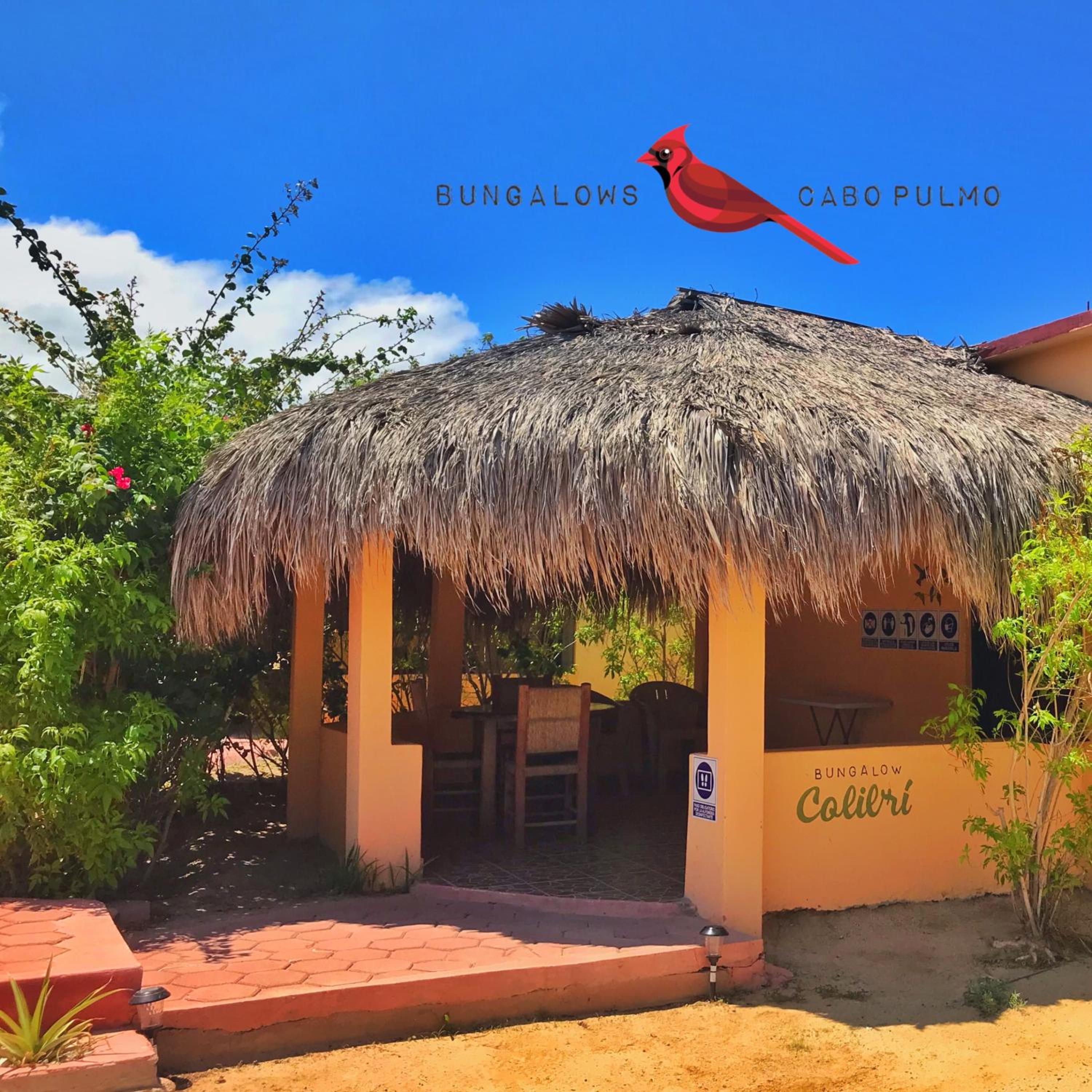 Bungalows Cabo Pulmo