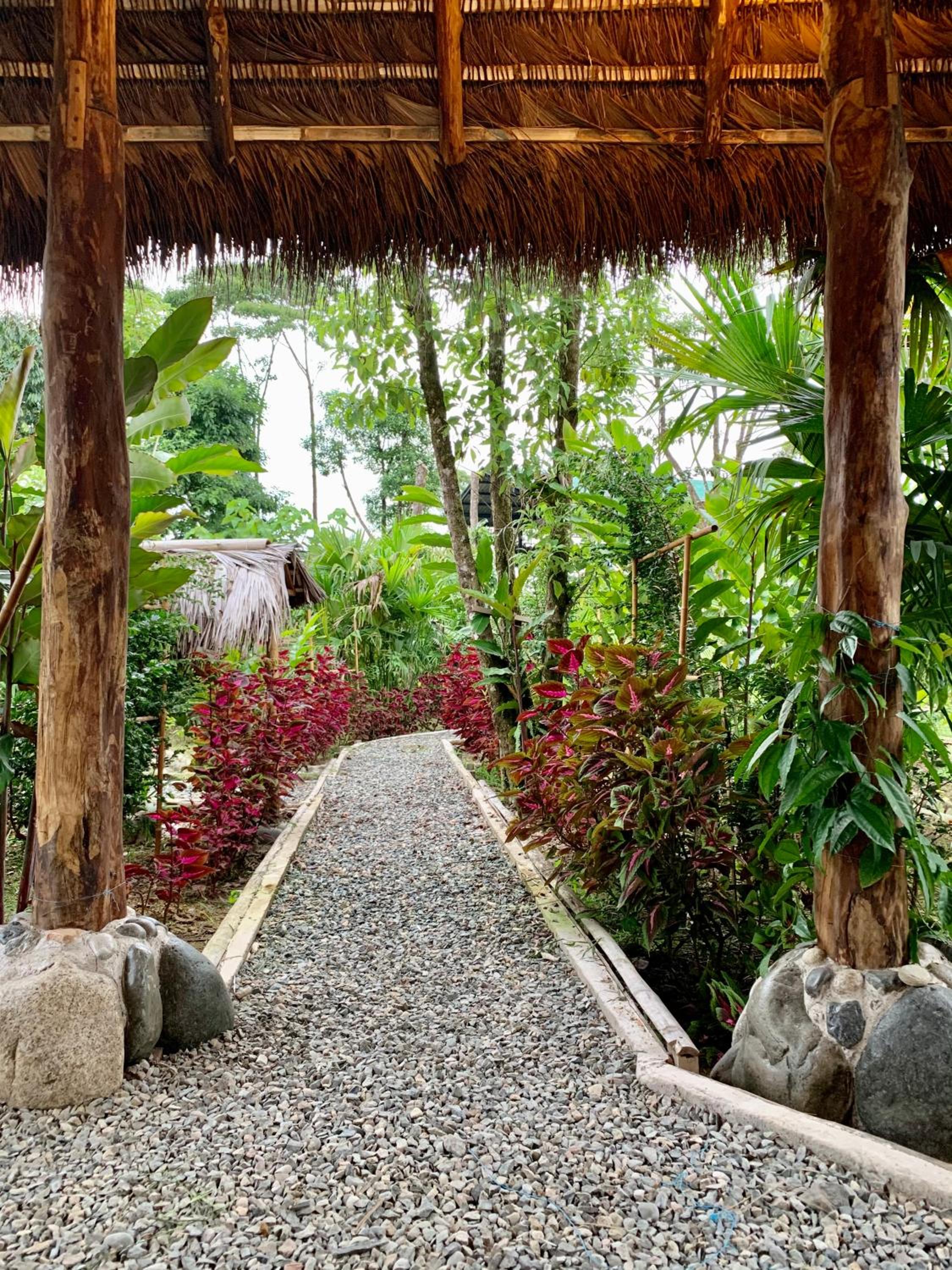 Pacha Eco Lodge Glamping & Hotel view 3