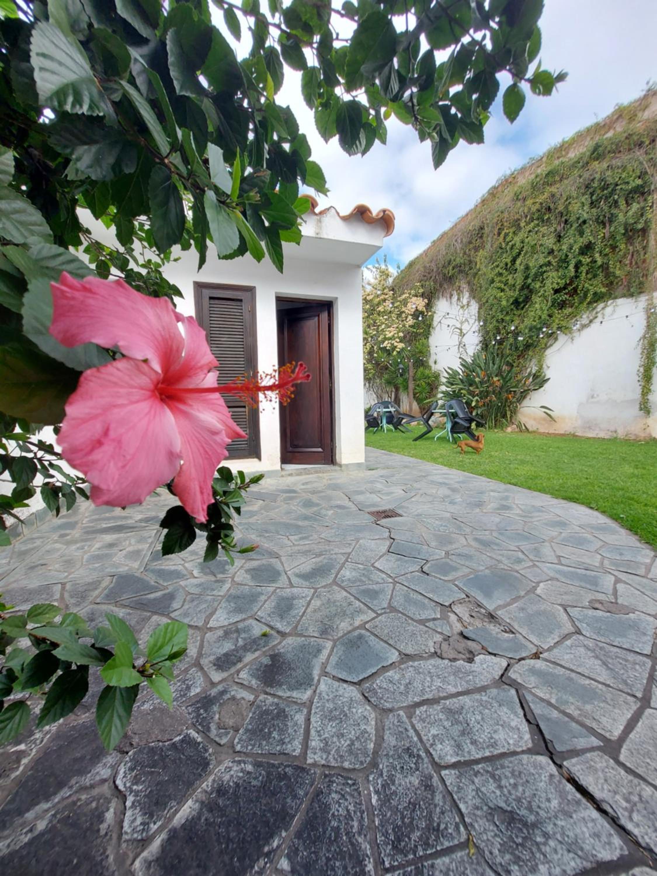 COYA HOSTEL