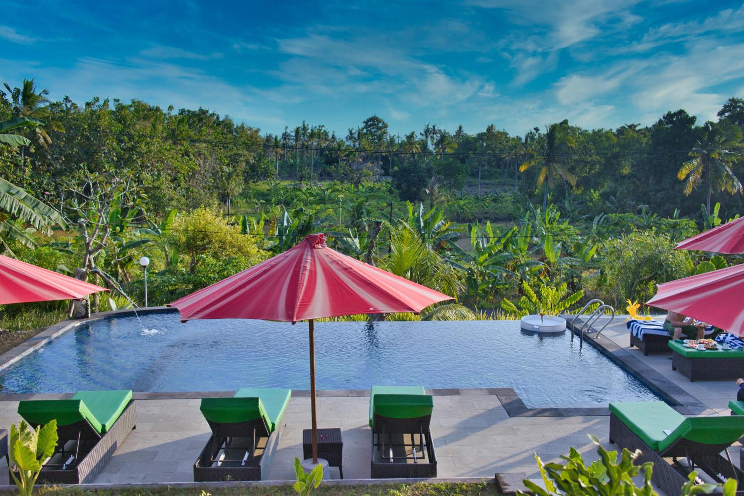 NG Sweet Home view 3