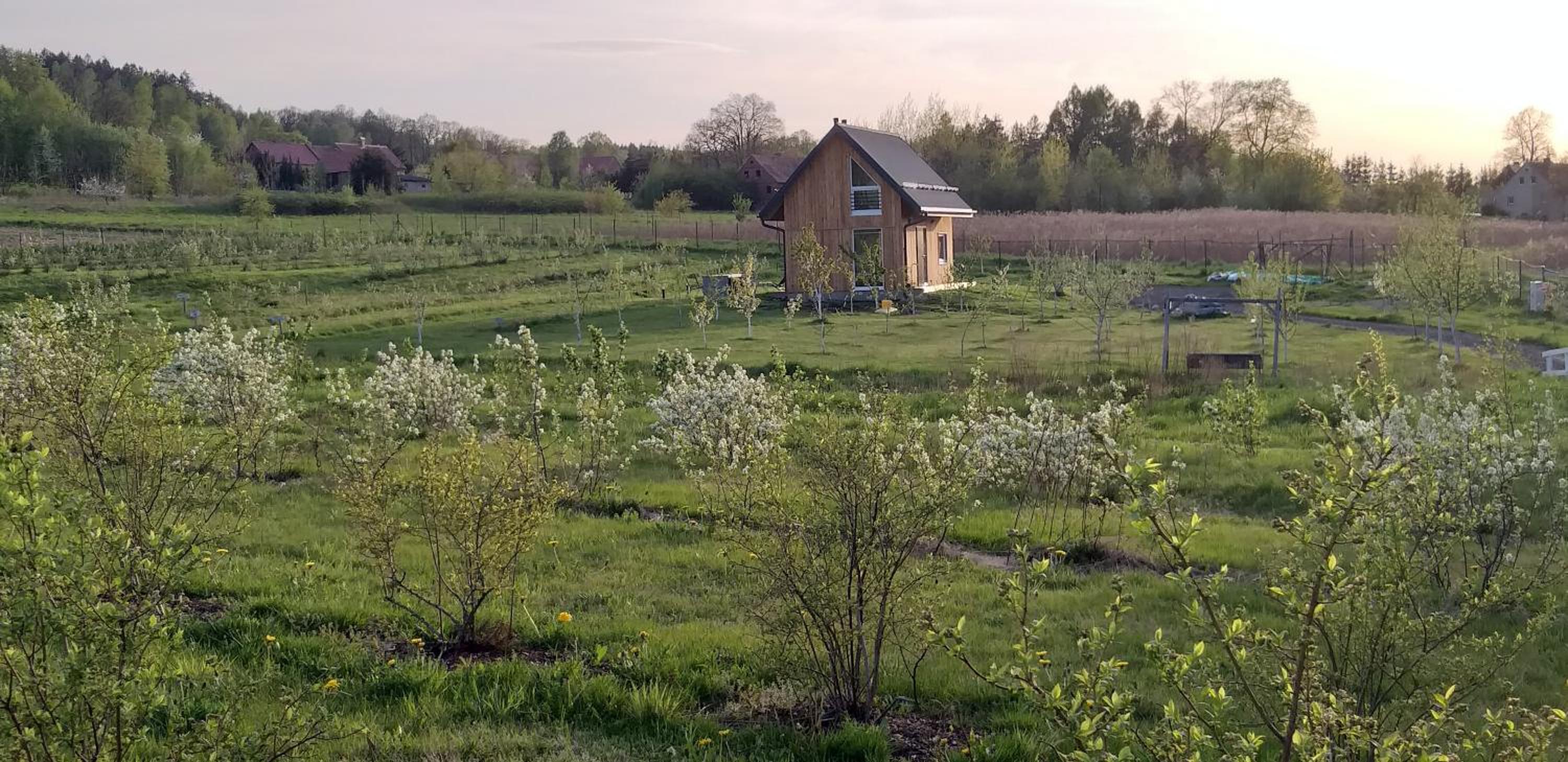 E Berry Farm - Slow life home view 5