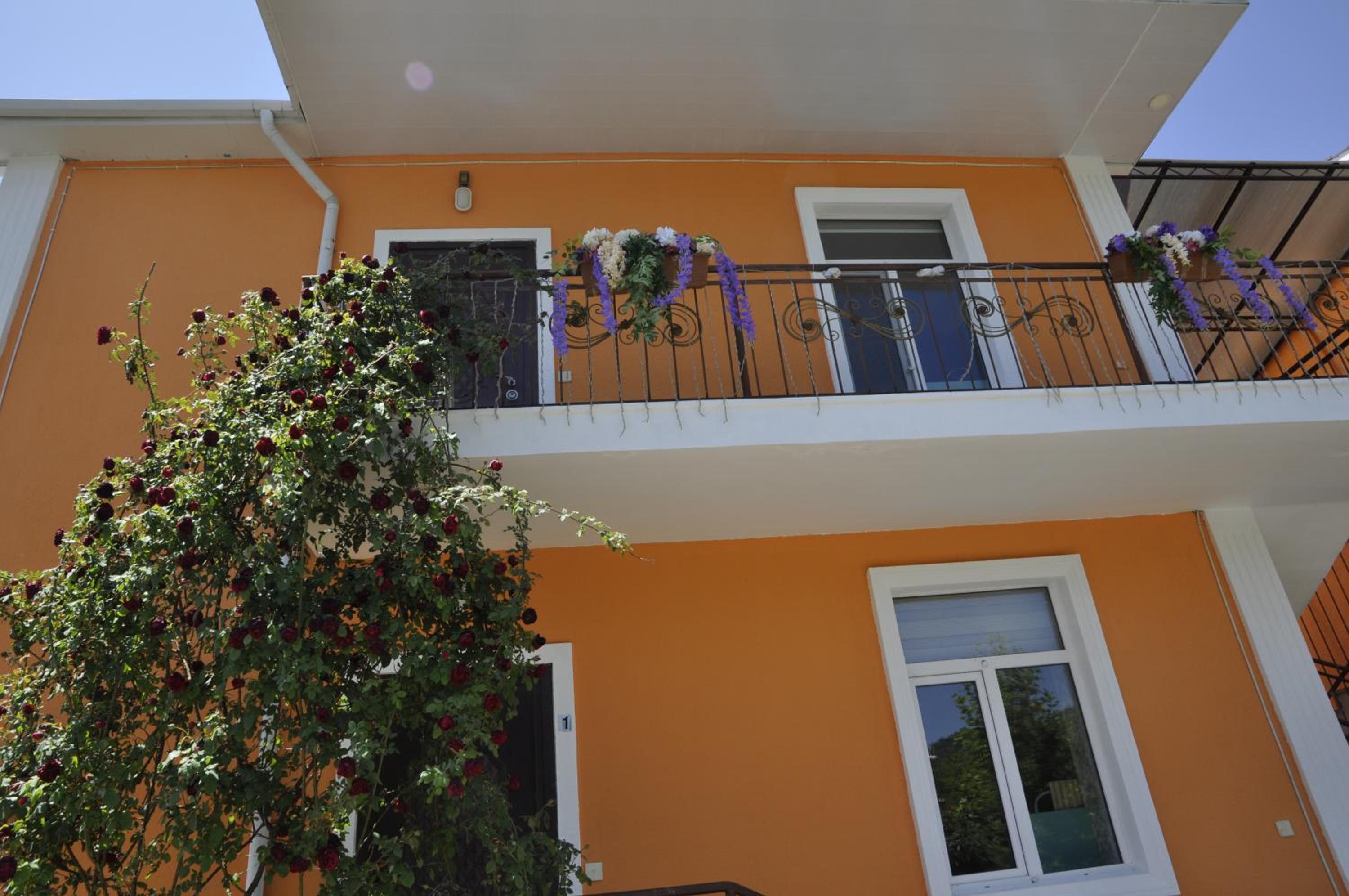Apartments Firuze