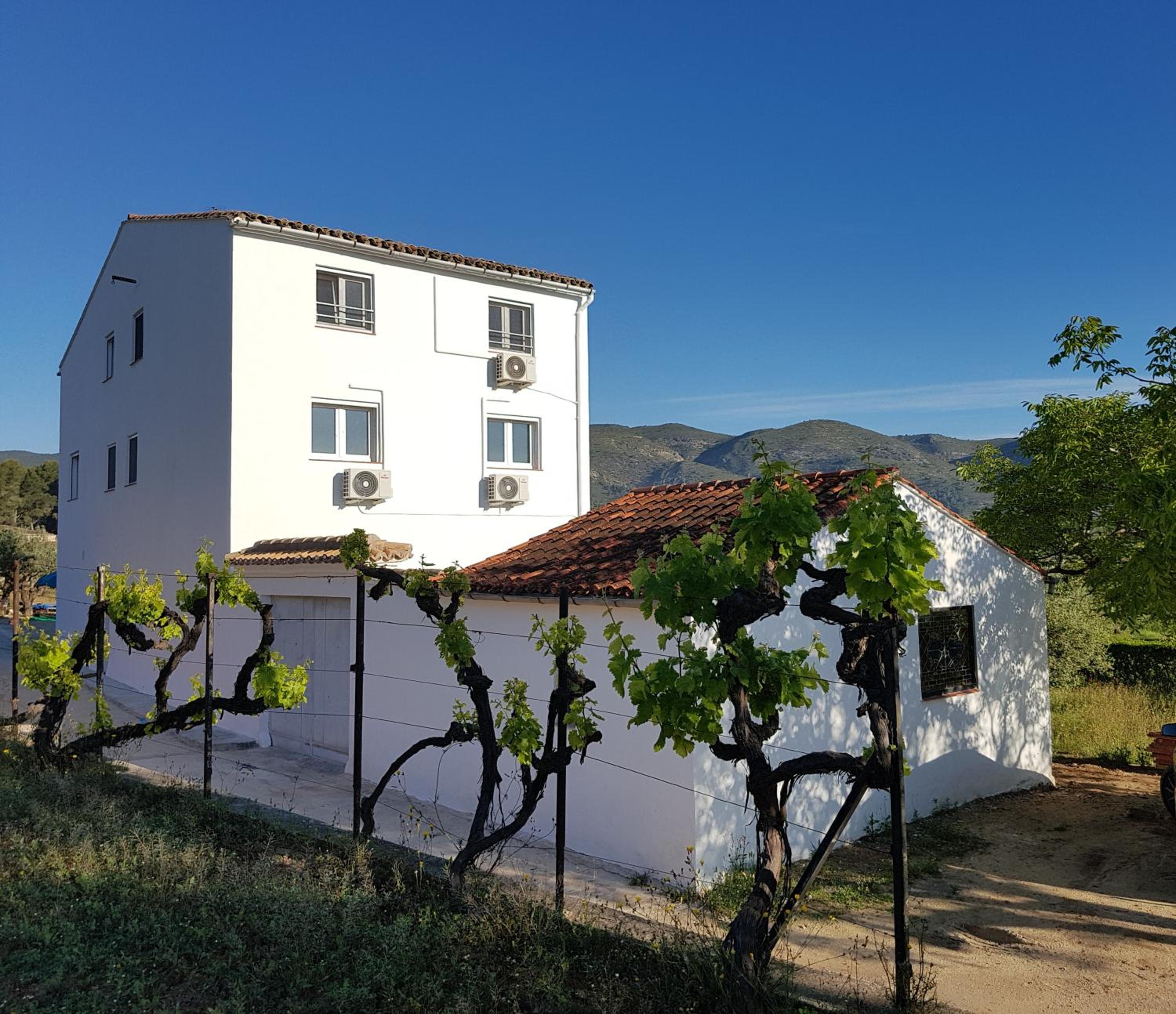 B&B Casa Vitalidad view 2