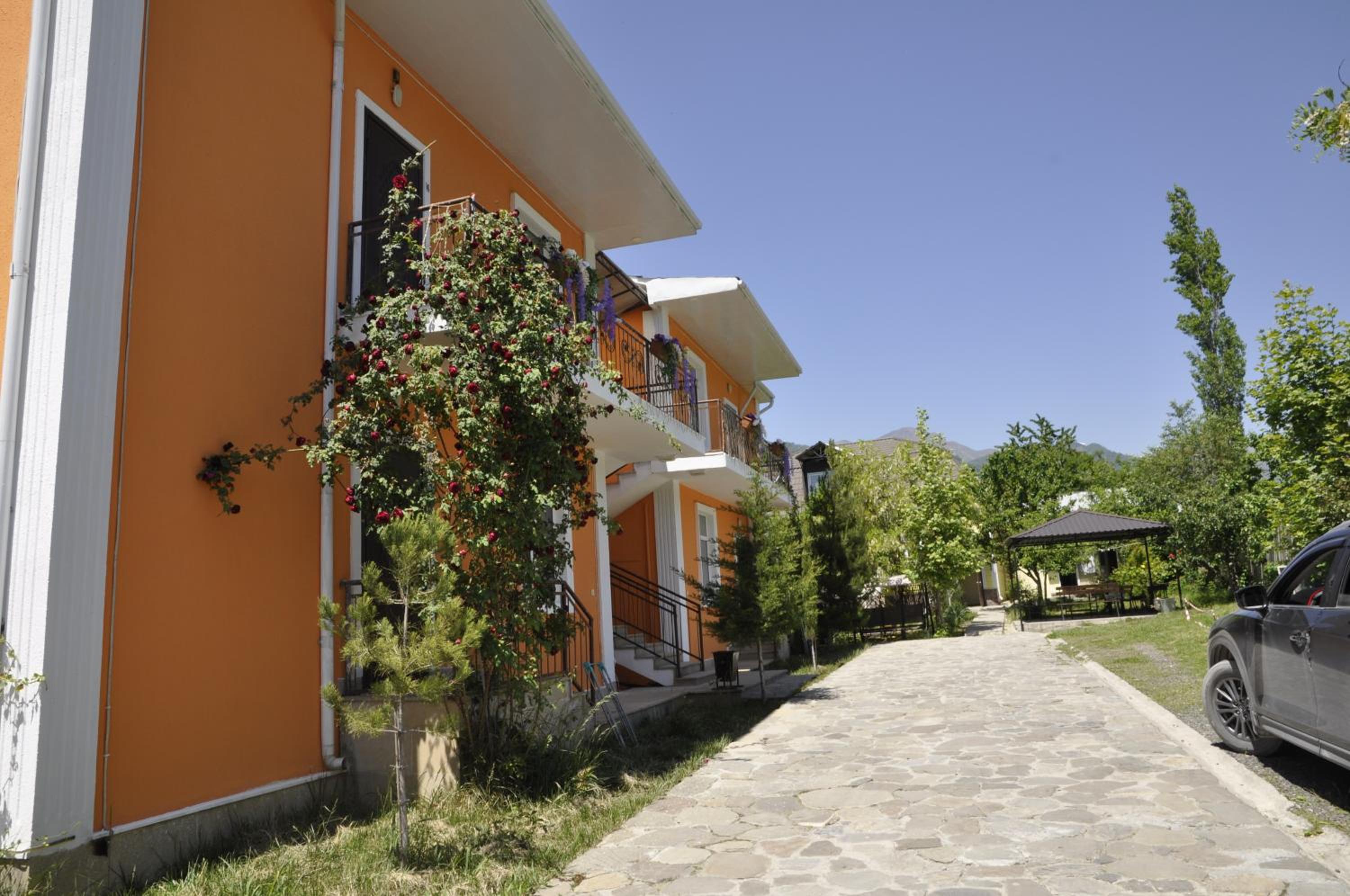 Apartments Firuze