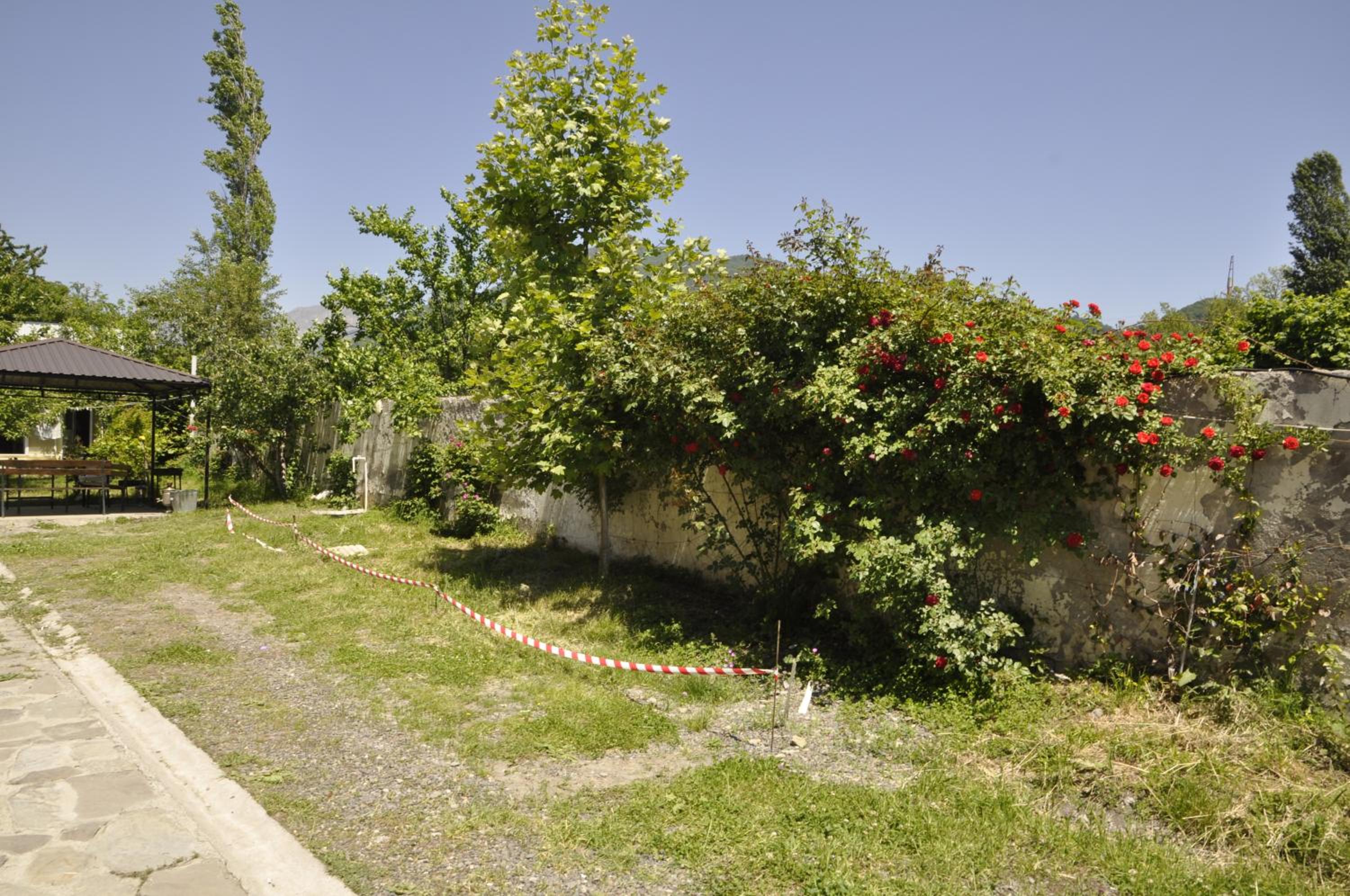 Apartments Firuze