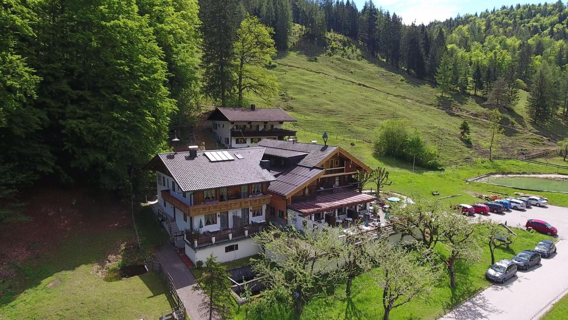 Gasthaus - Pension - Café Dörfl