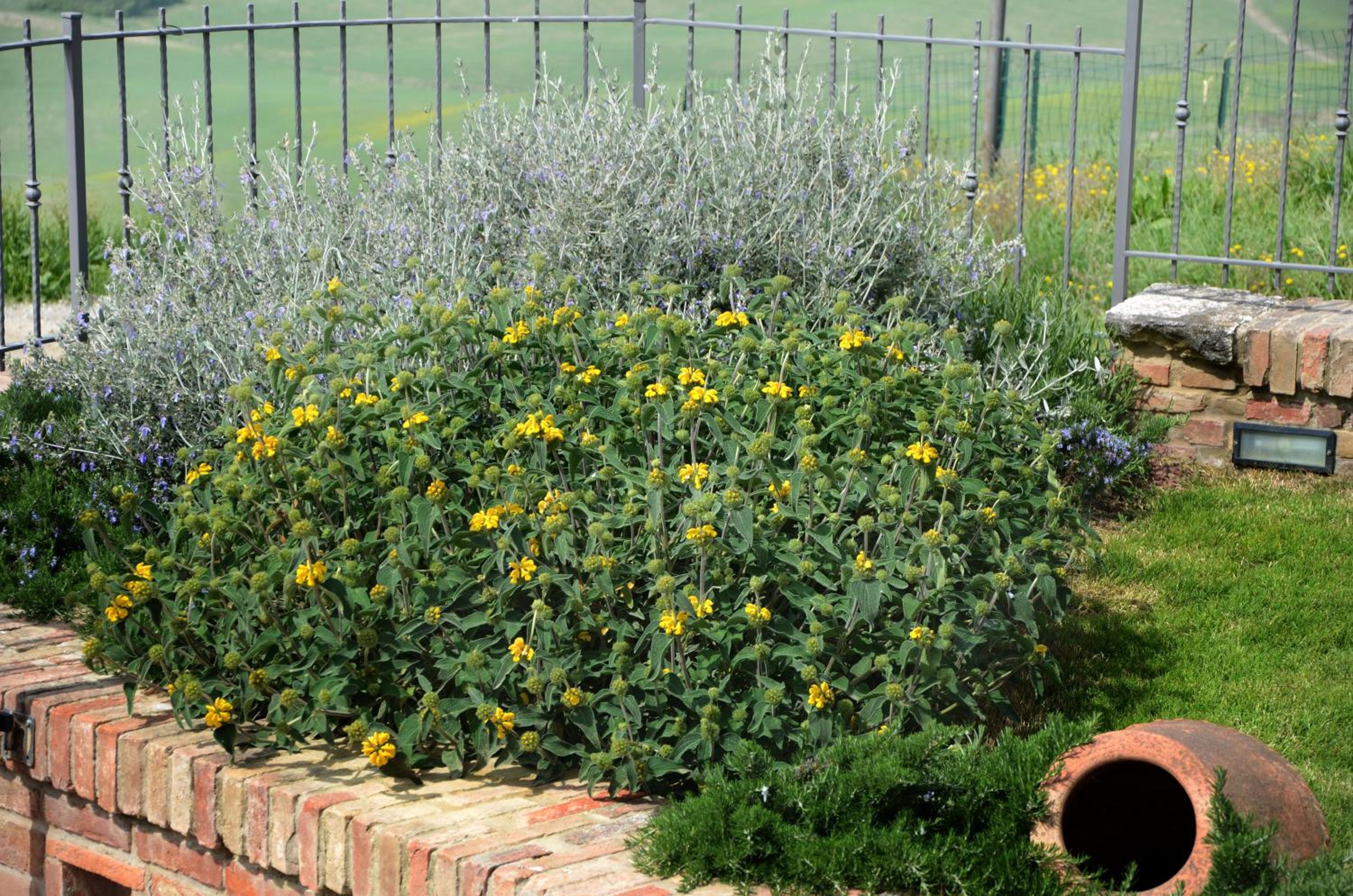 Casa Ginevra-2 Suite con giardino privato-Crete Senesi-Tuscany view 2