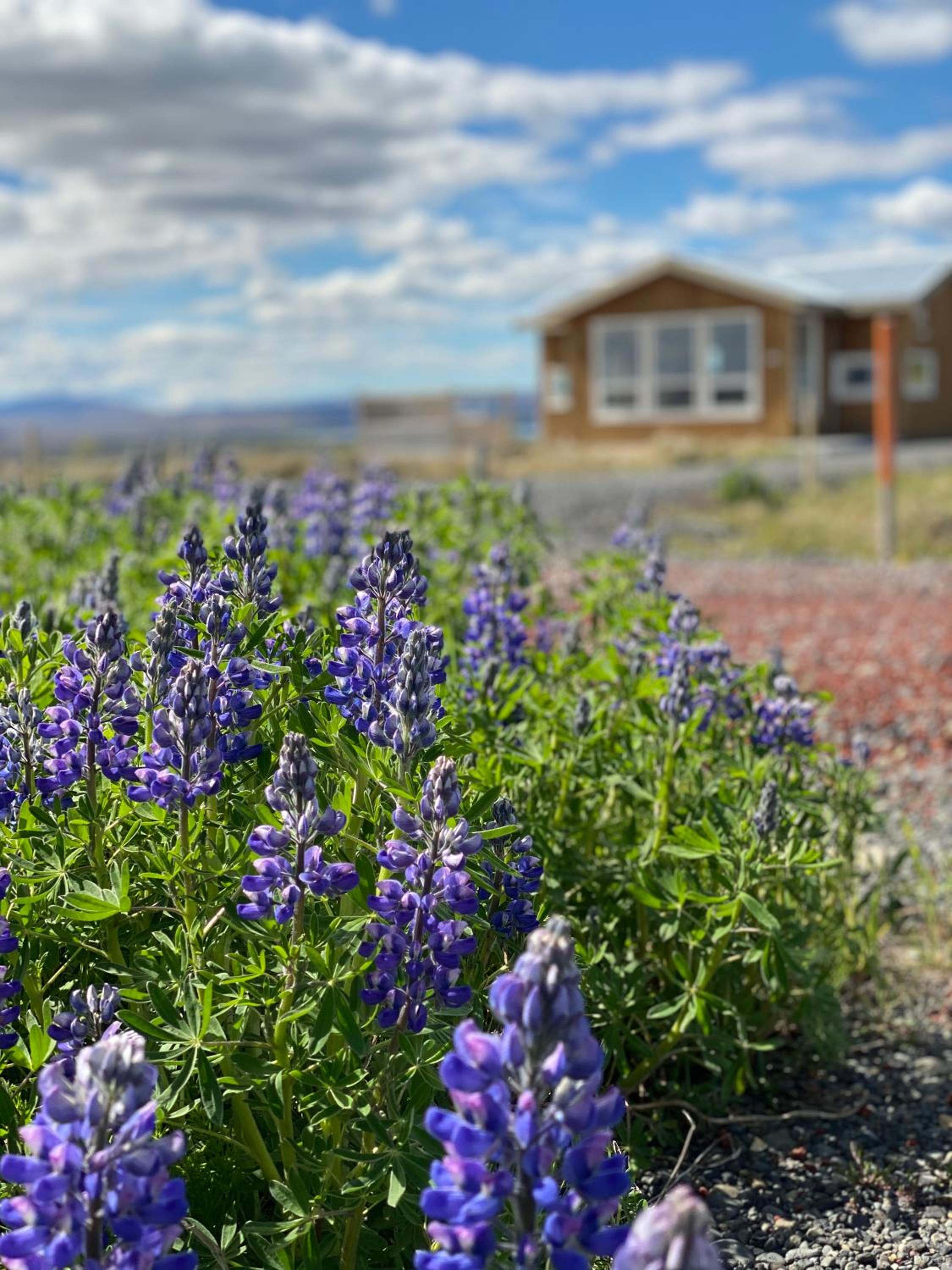 Blue View Cabin 6A With private hot tub