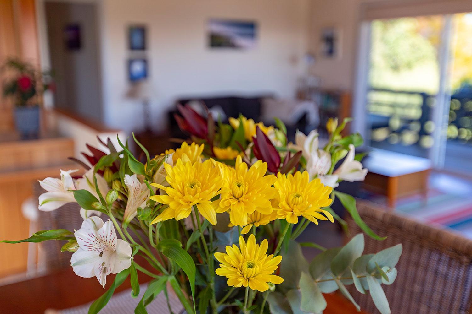 Cockatoo Cabin view 5