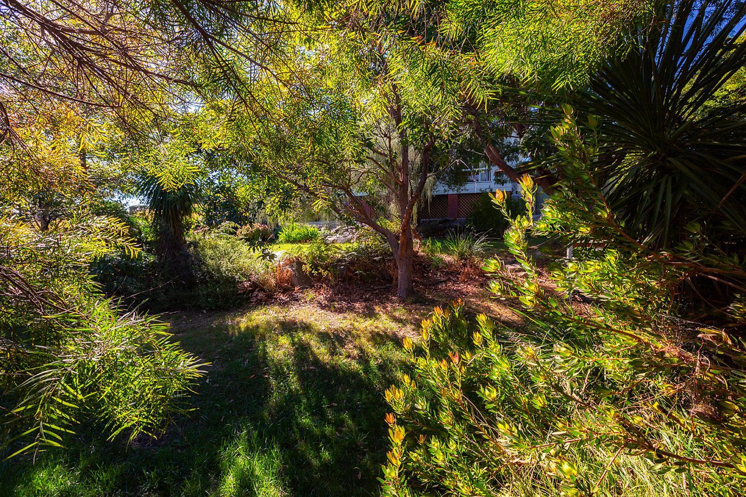 Cockatoo Cabin view 3