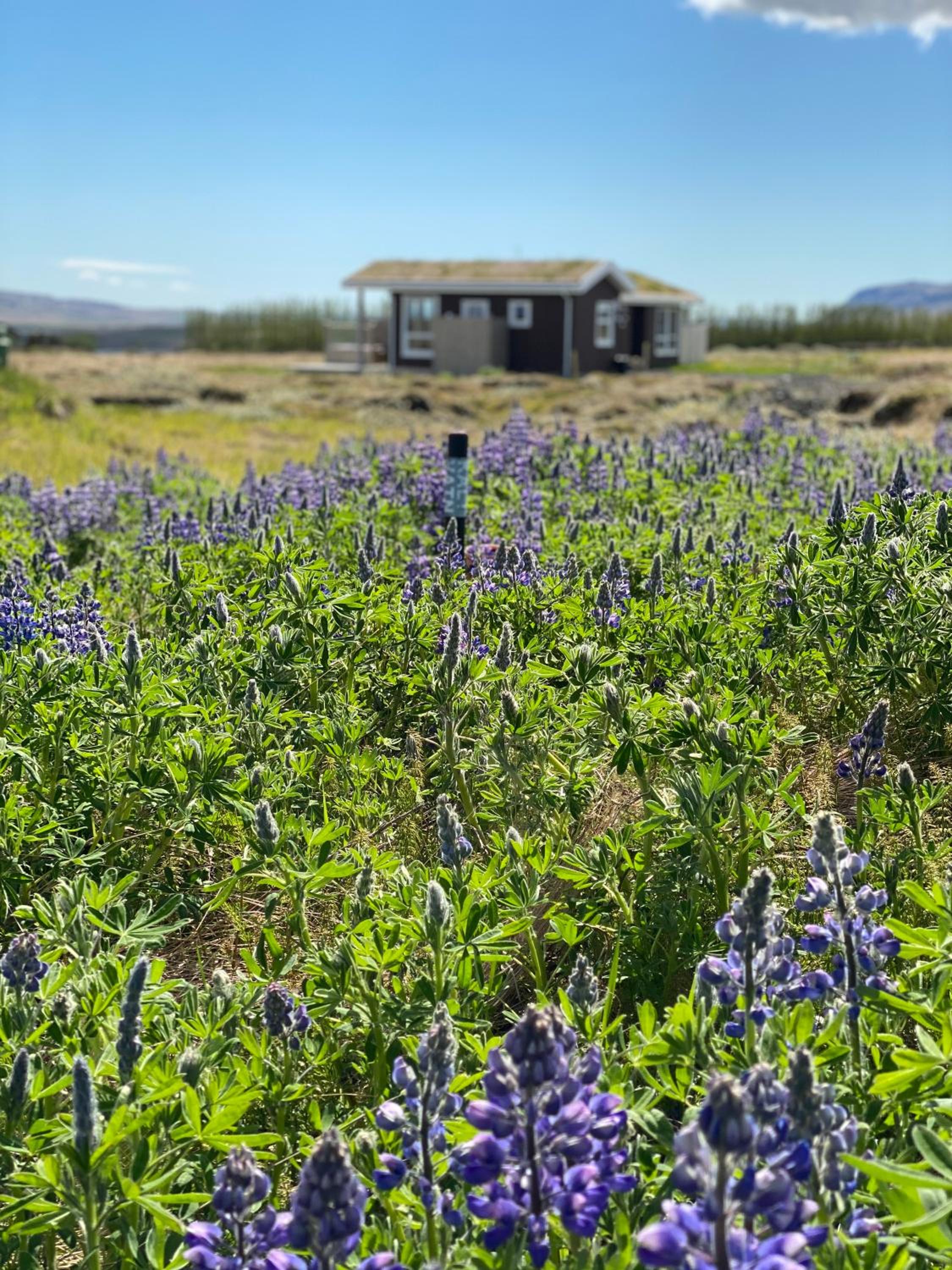 Blue View Cabin 5B With private hot tub
