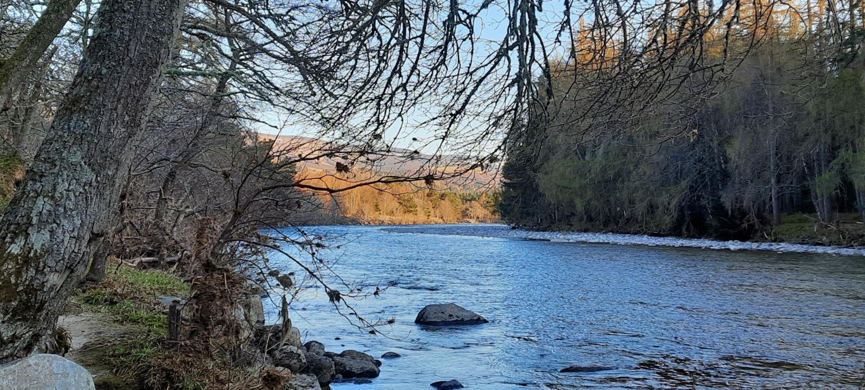 No 45, Ballater