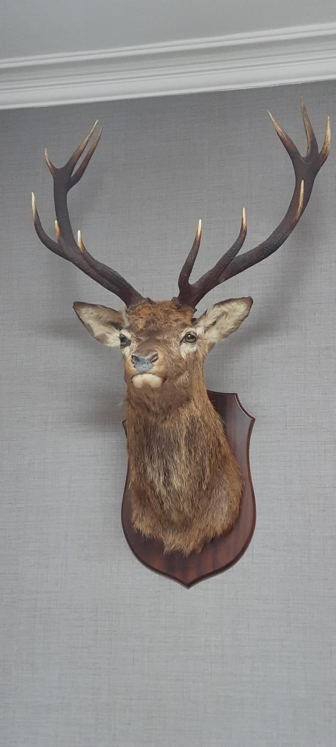 No 45, Ballater