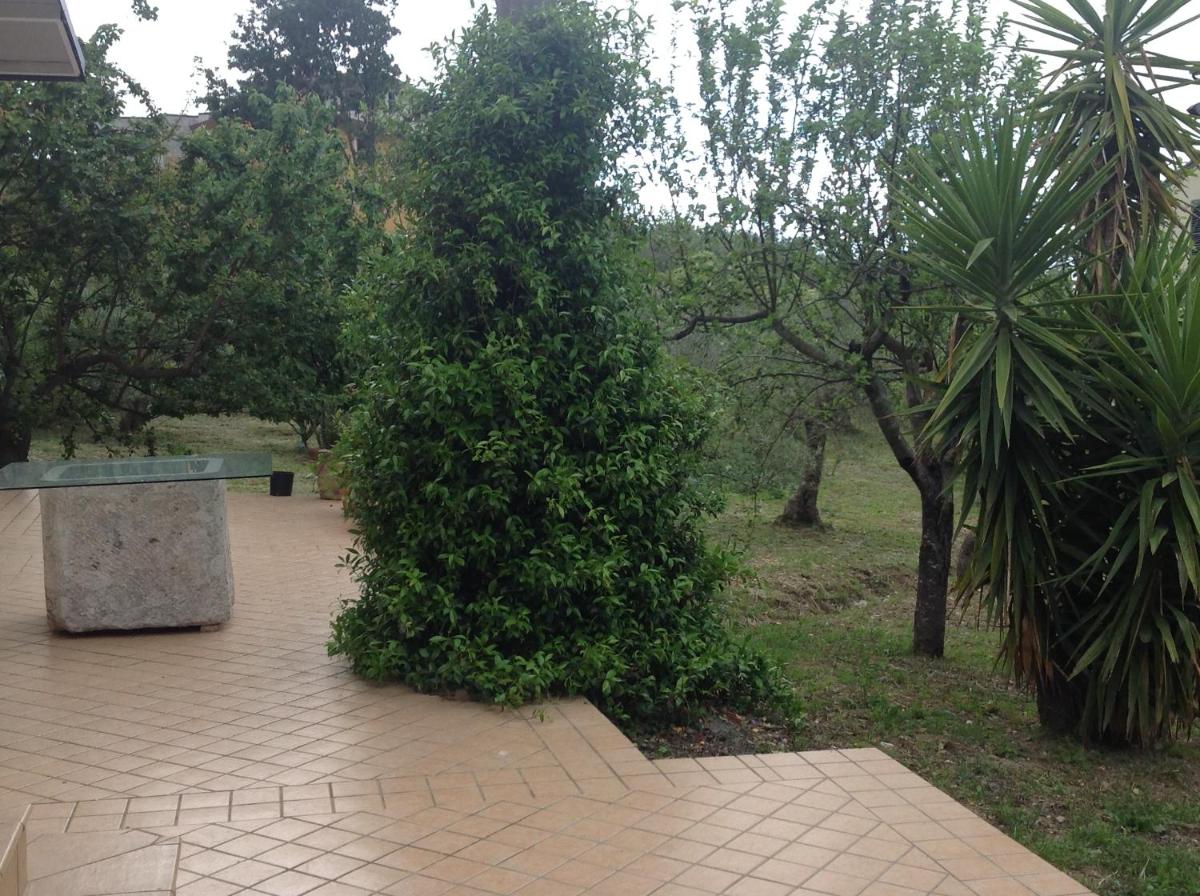 Photo 27