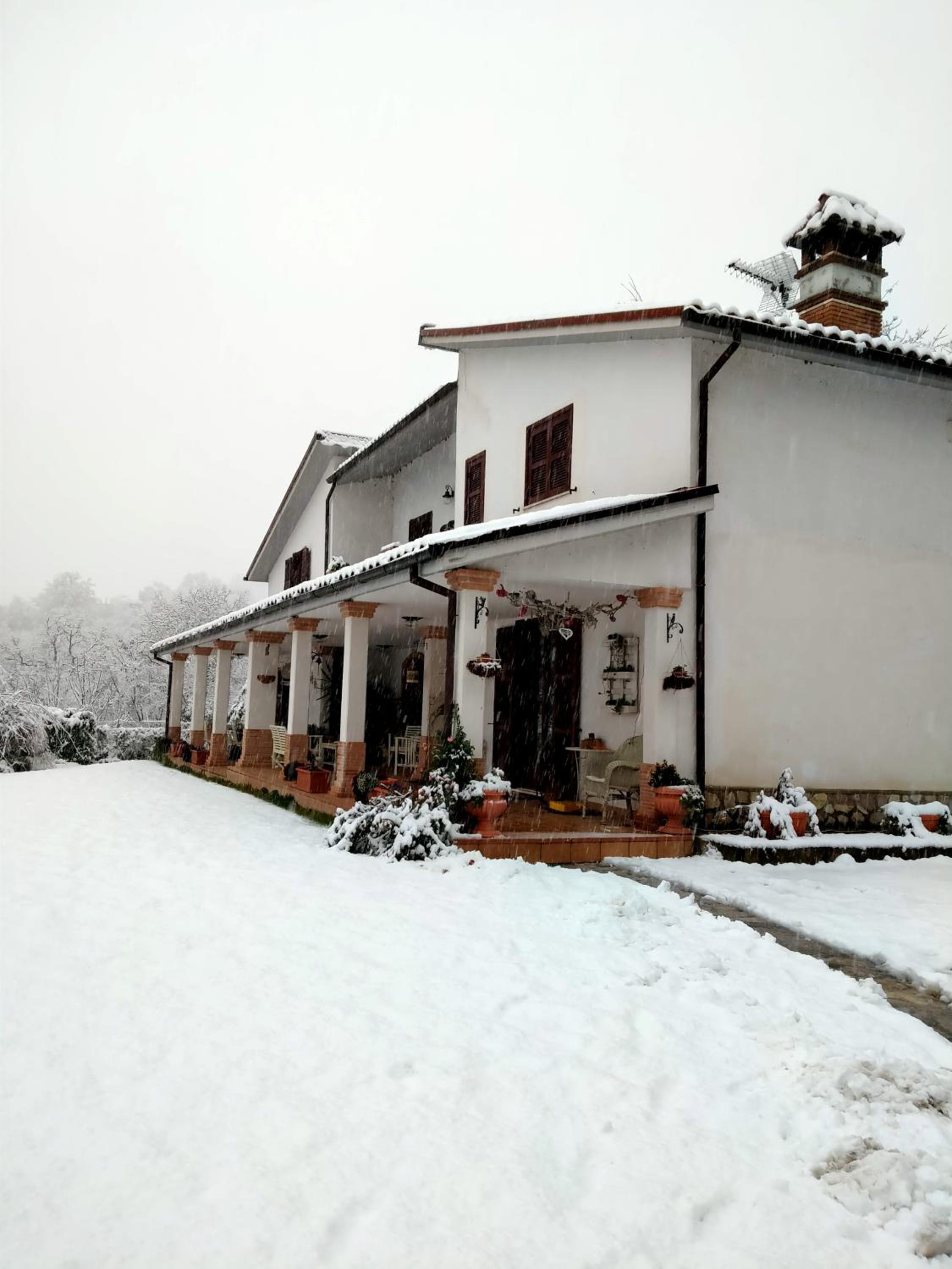 Photo 43