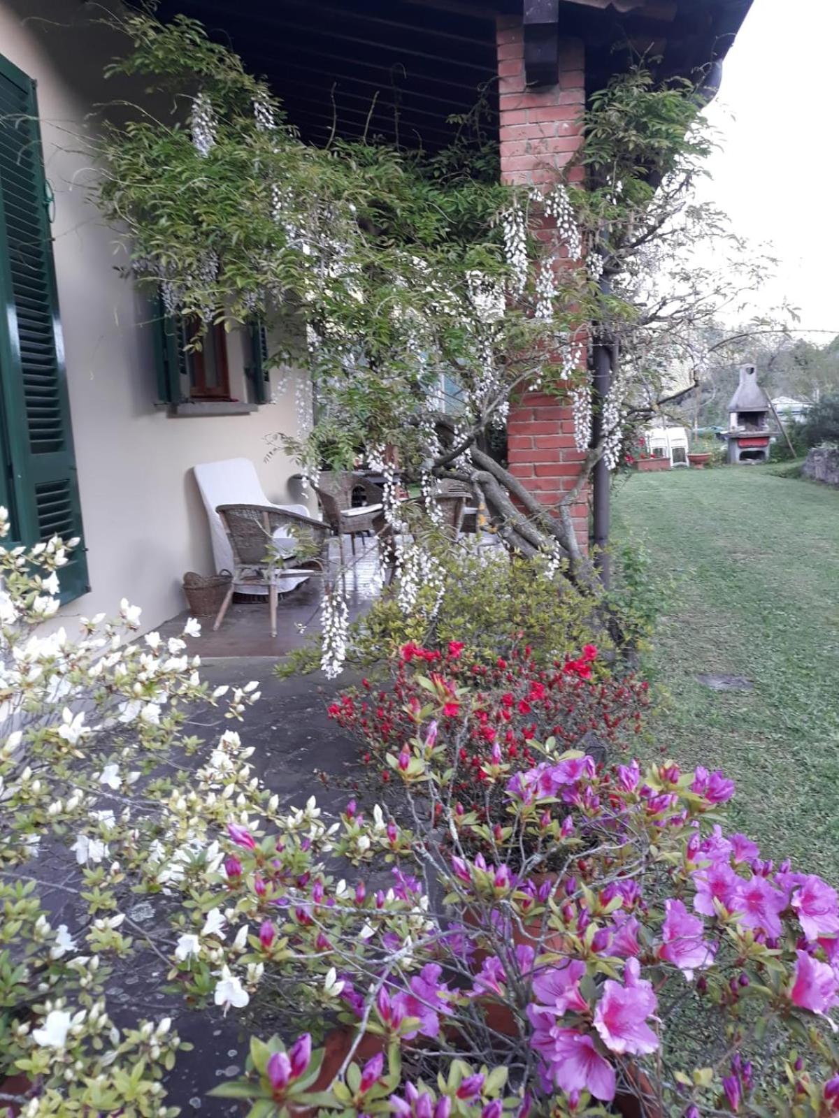 Photo 29