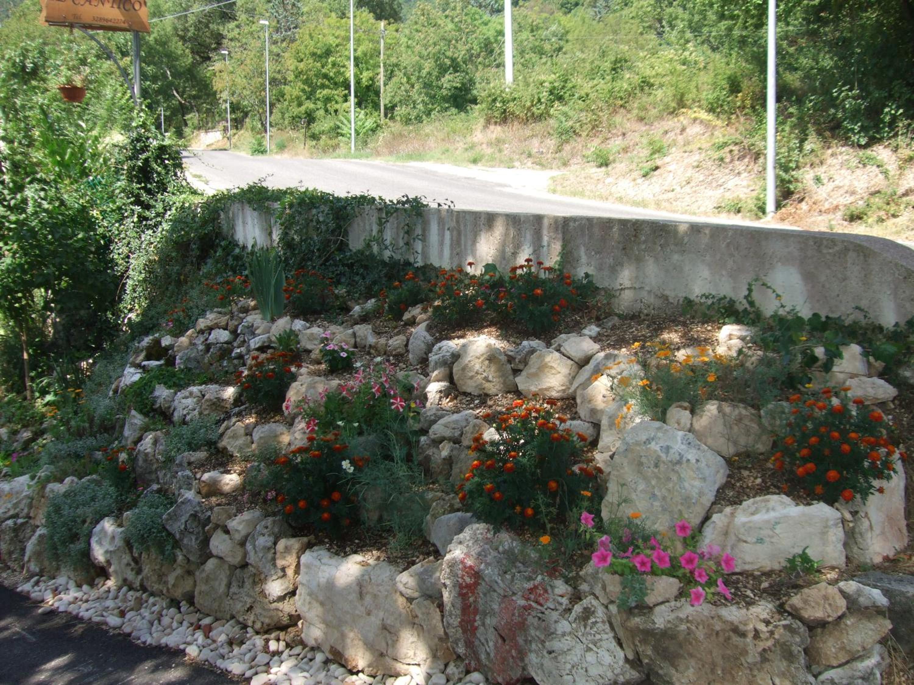 Photo 45