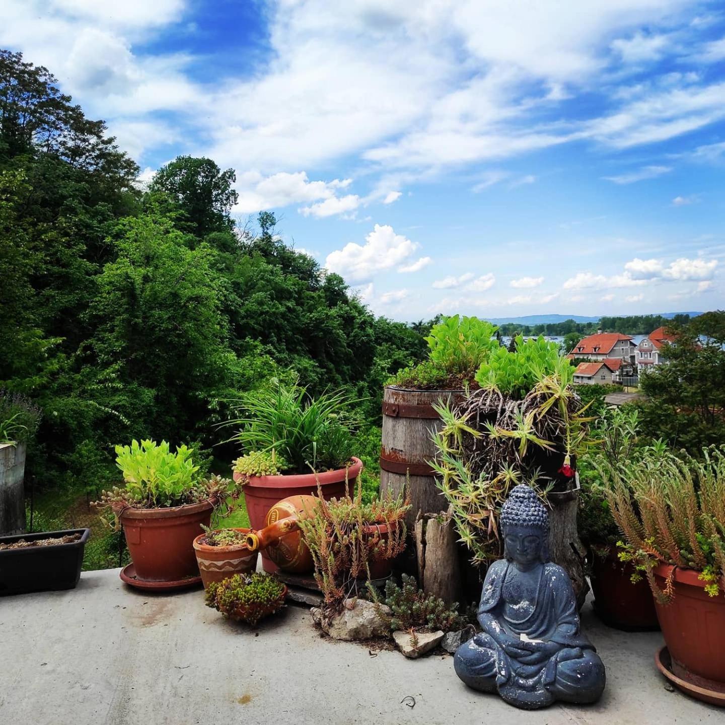 HostelChe Guest House view 4