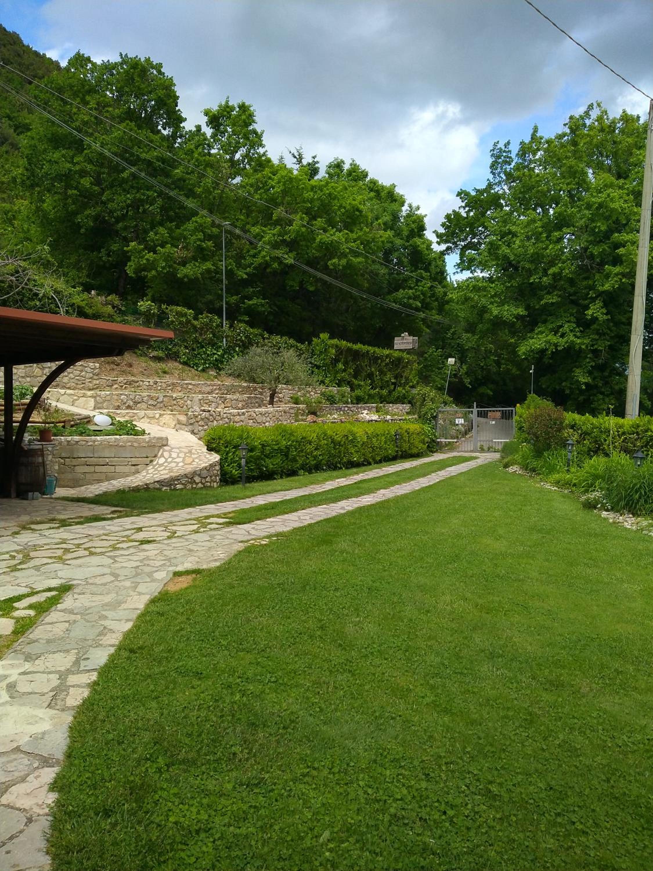 Photo 46