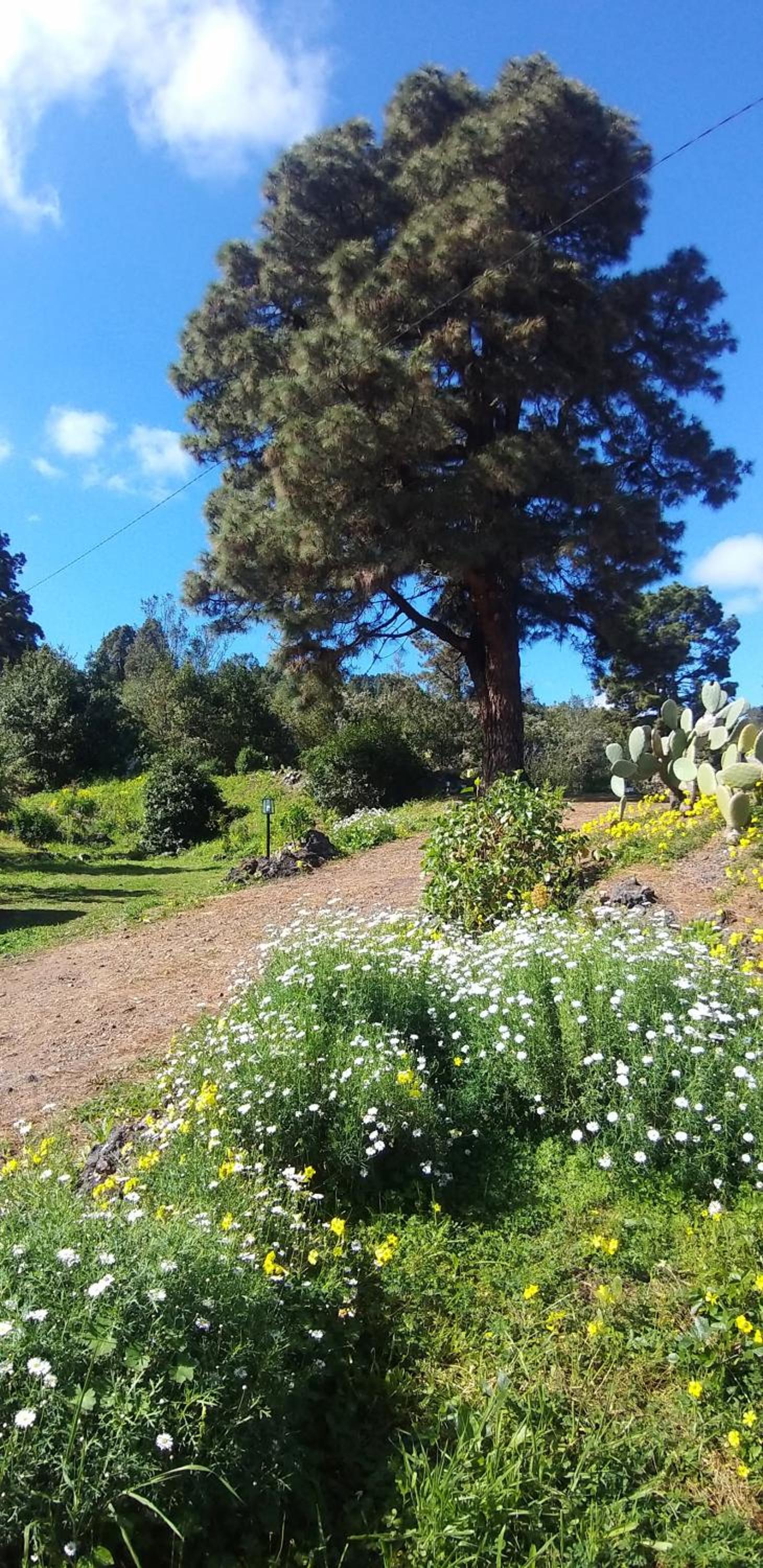 Finca Verode view 5