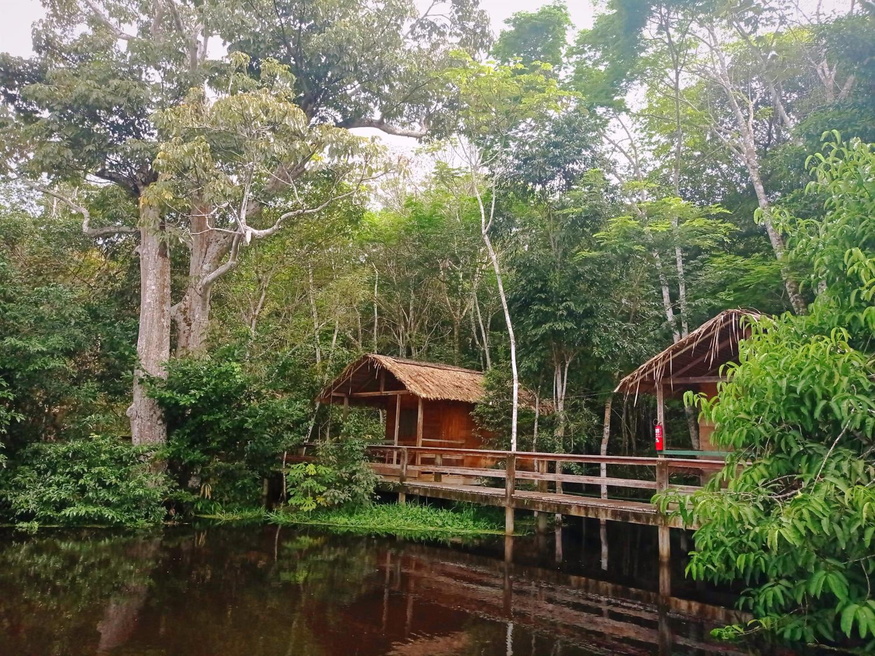 Dolphin Lodge
