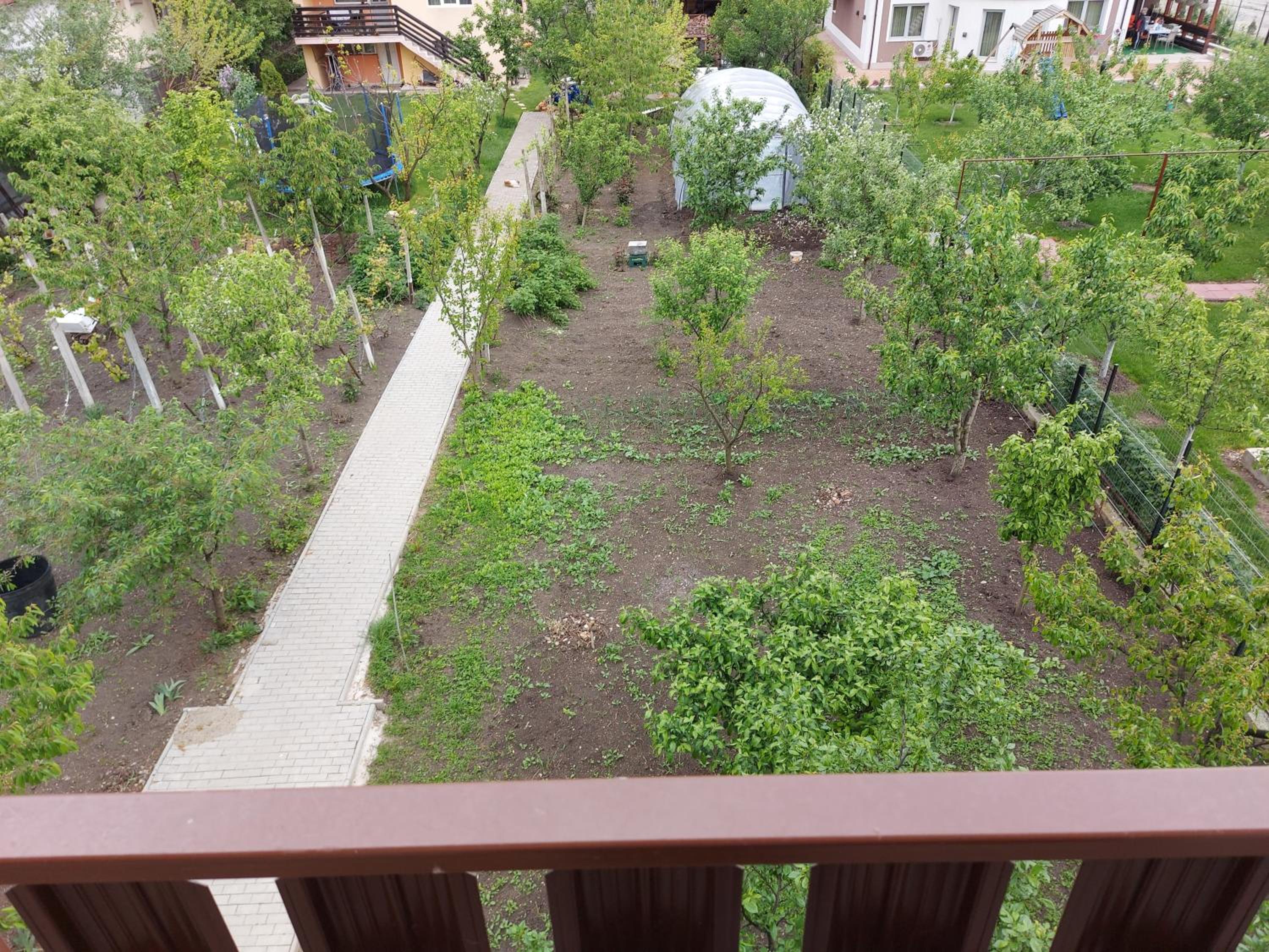 Photo 33