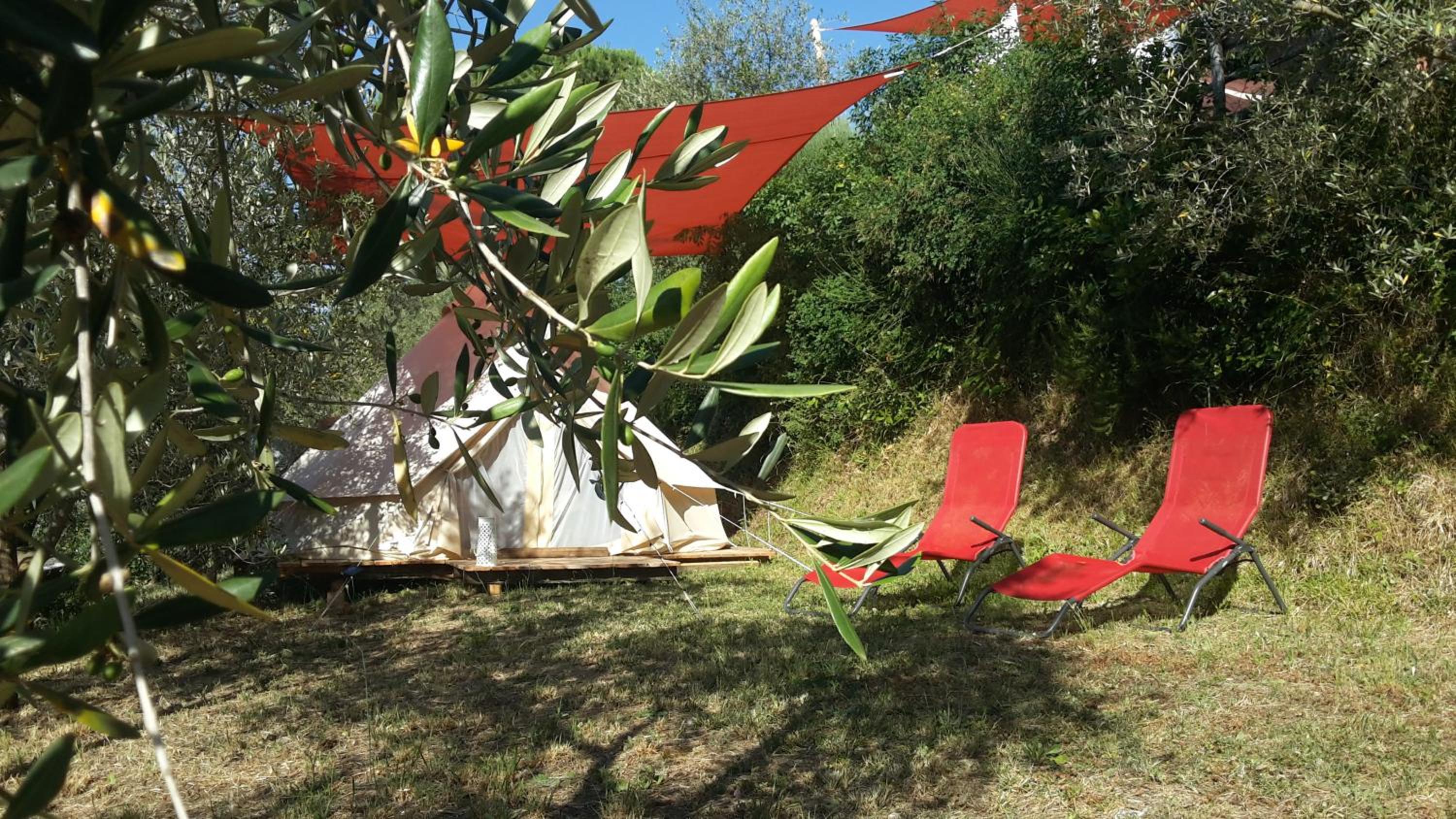 Photo 29