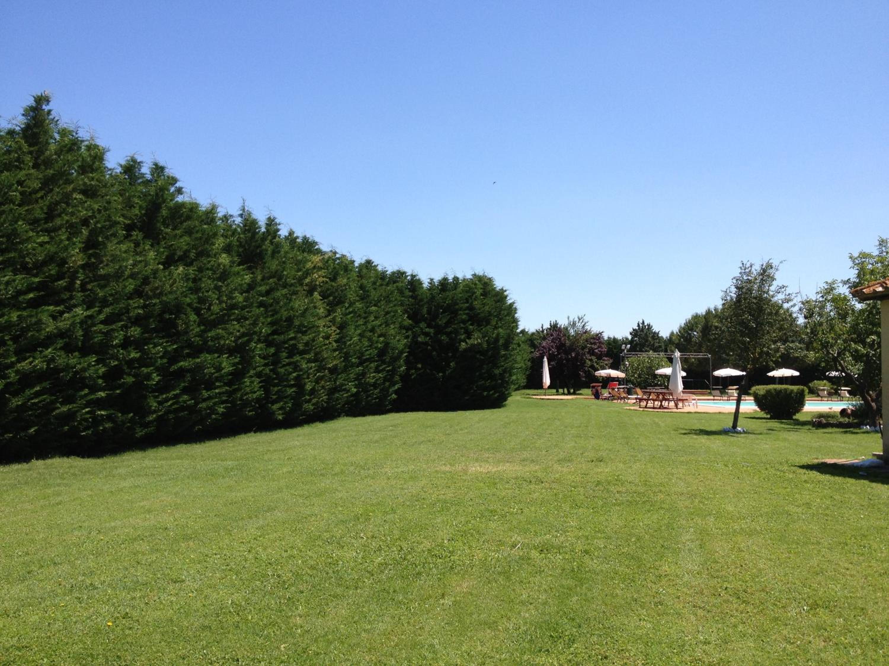 Photo 22