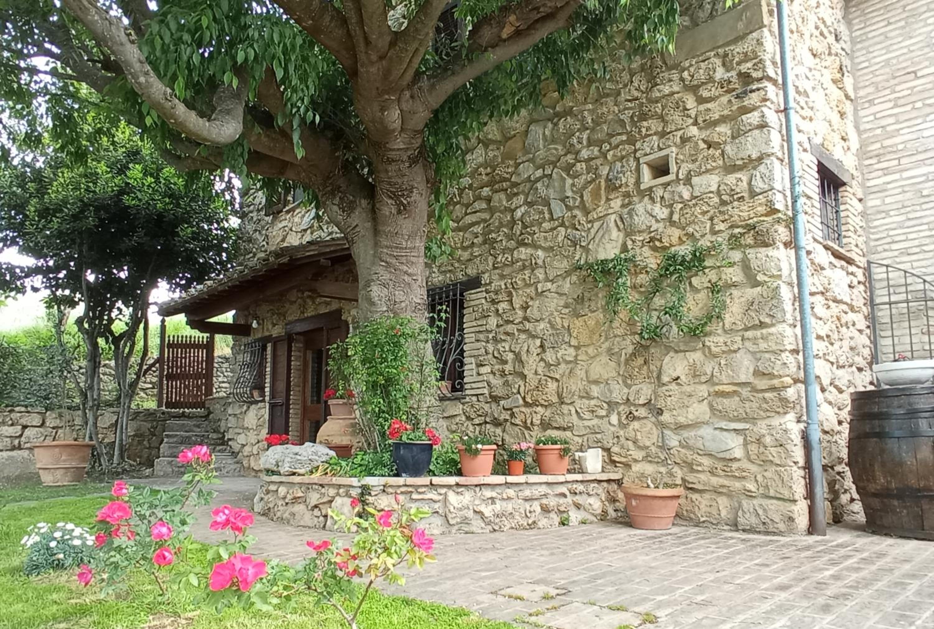 All'Ombra di San Damiano