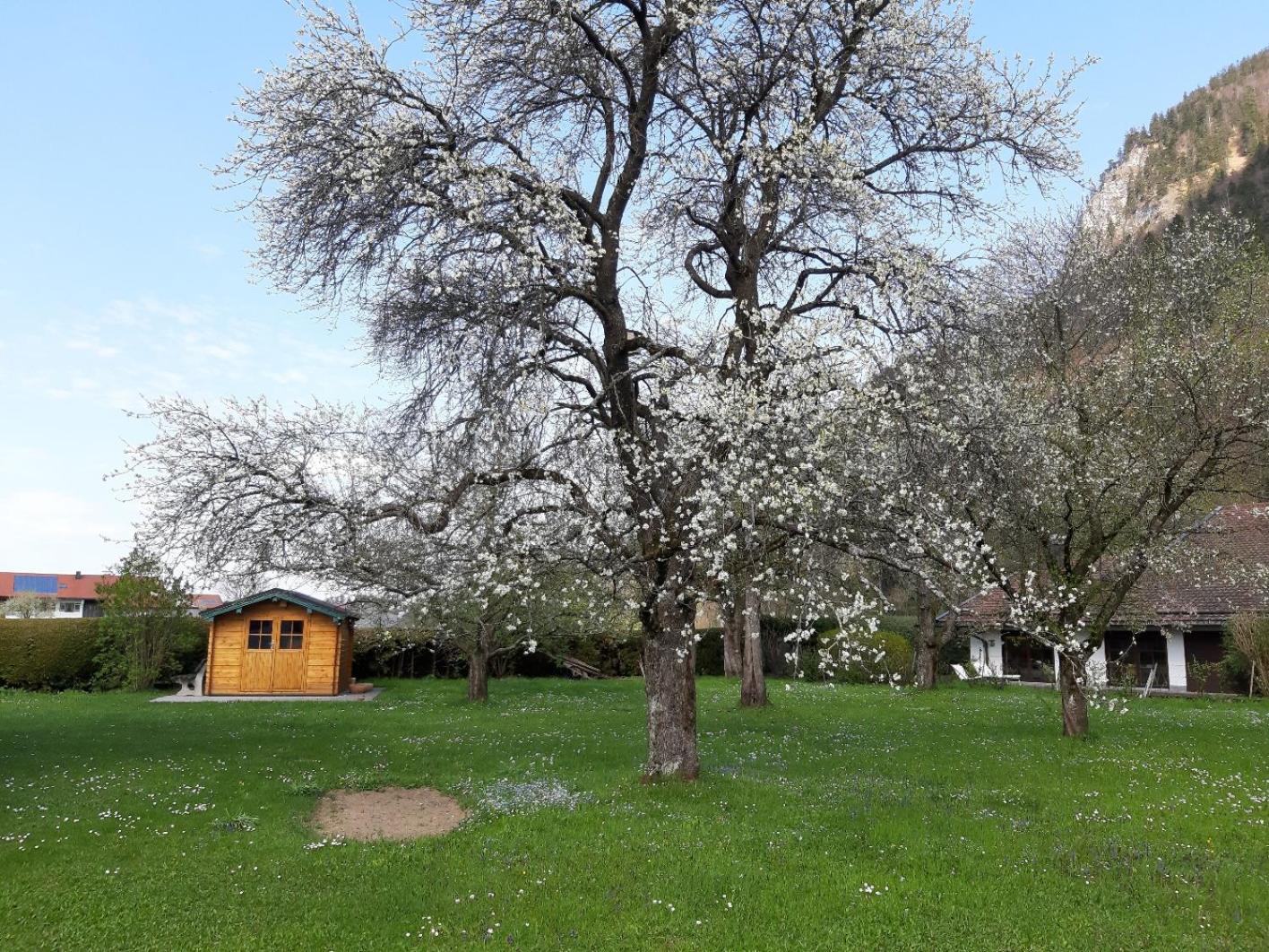 Haus Polleichtner