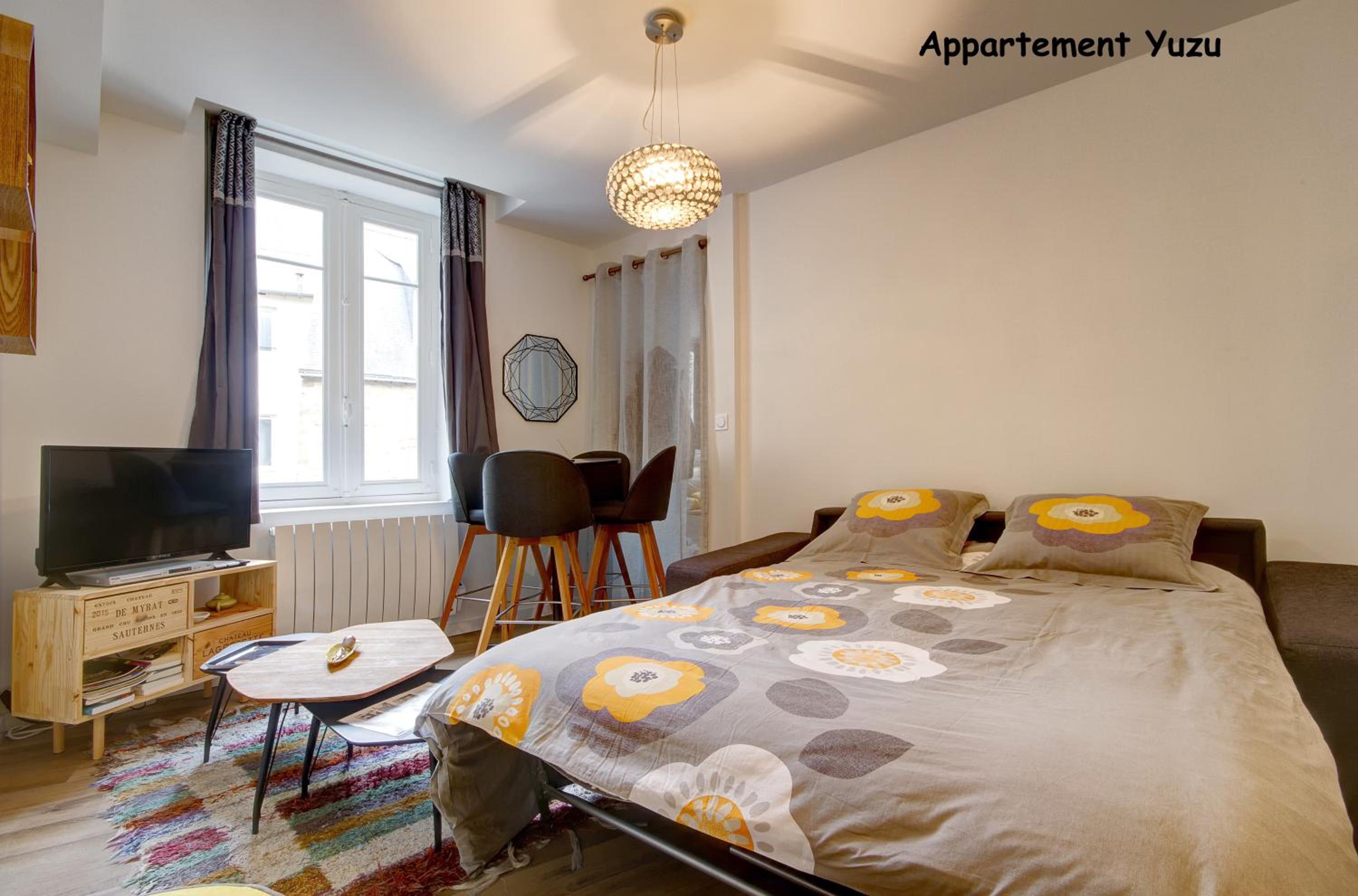Appartements de caractère centre