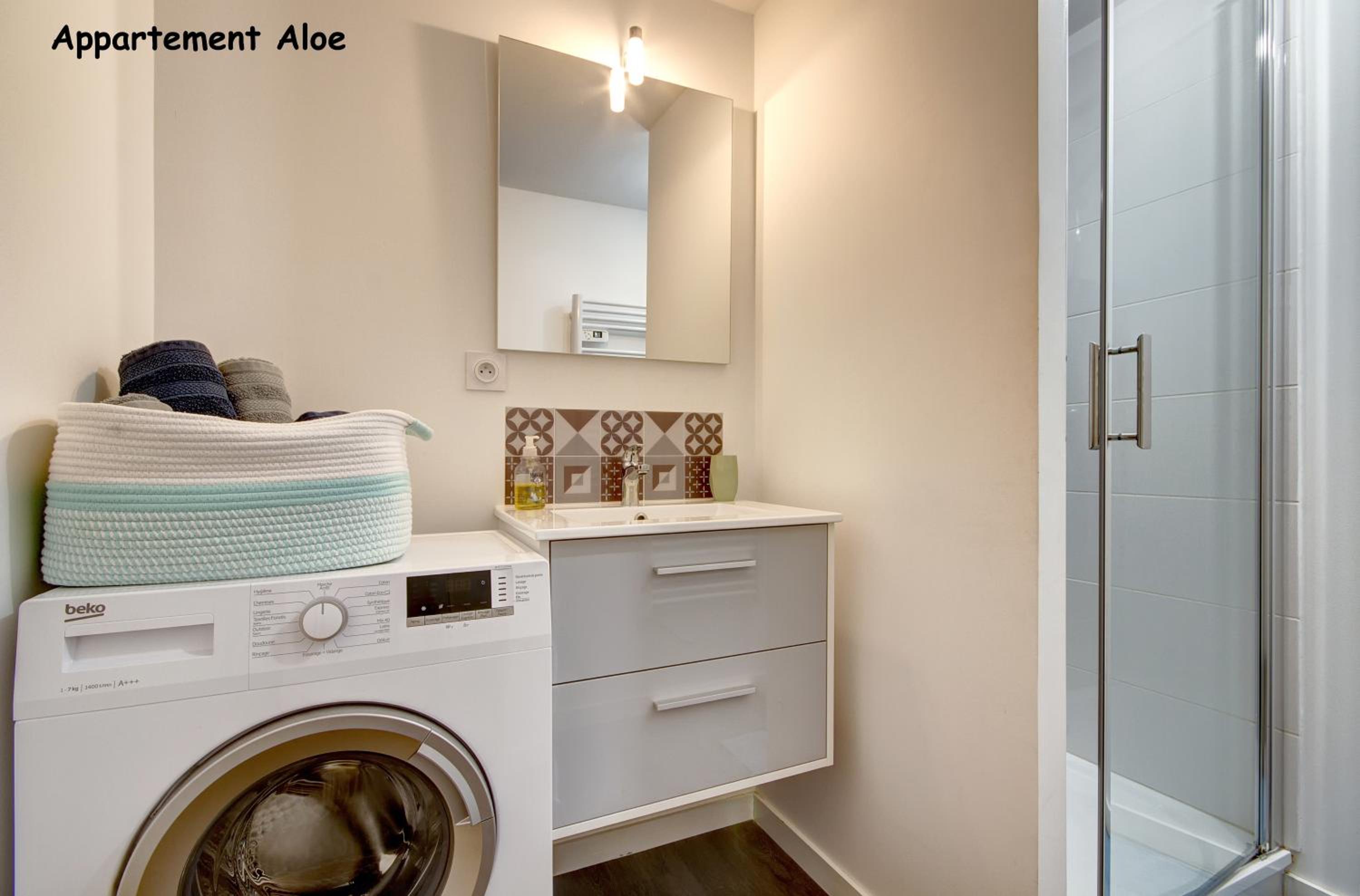 Appartements de caractère centre