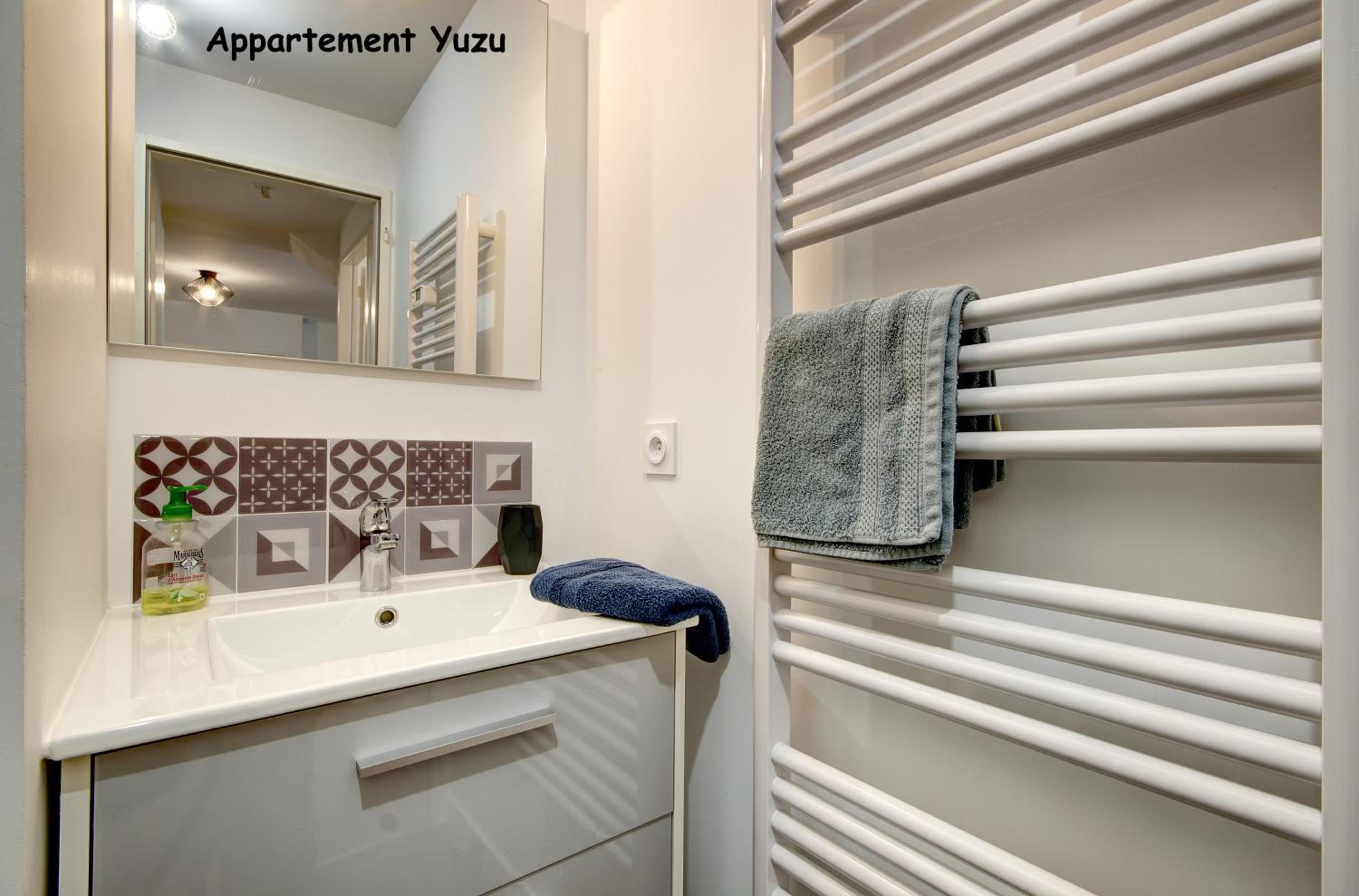 Appartements de caractère centre