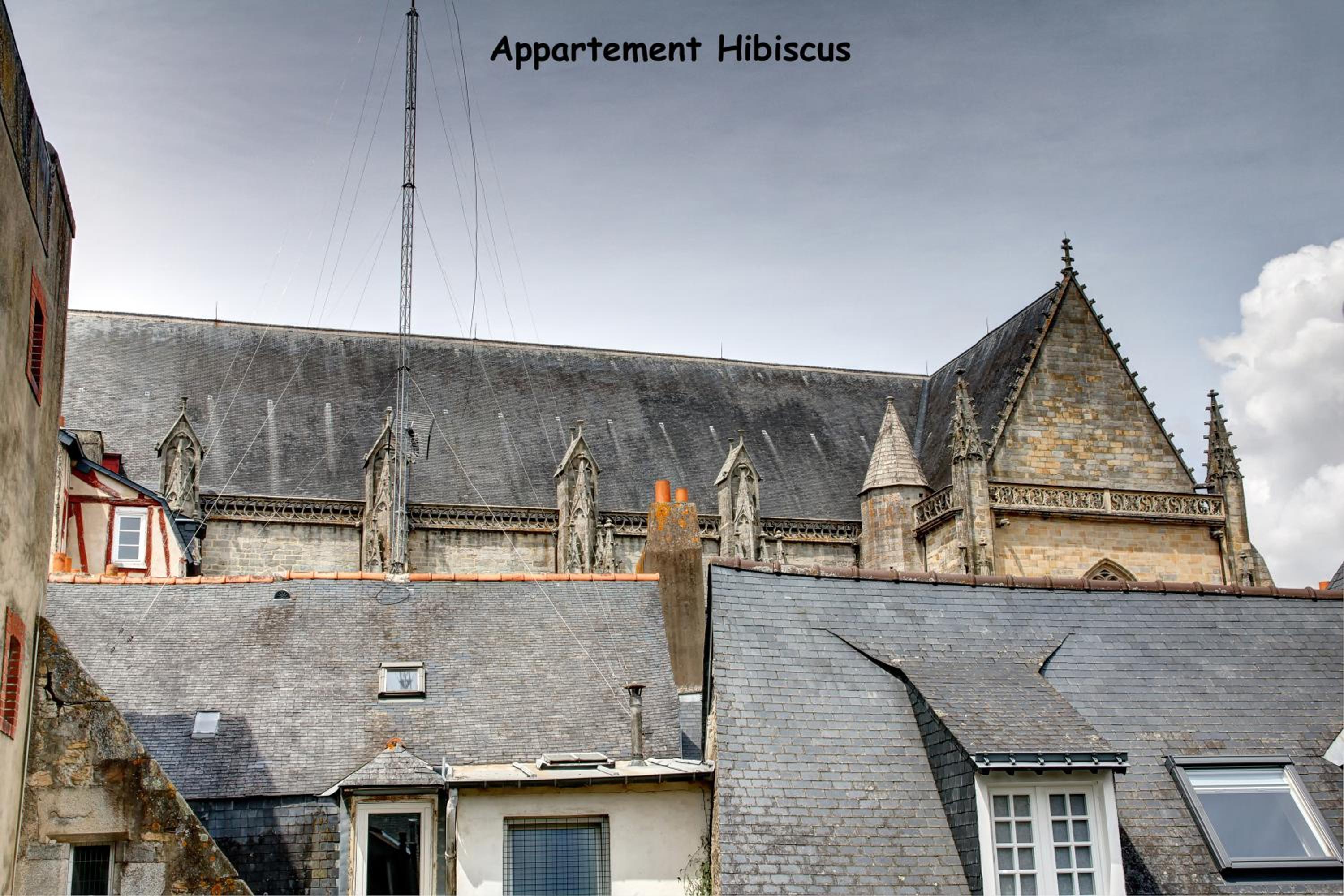 Appartements de caractère centre