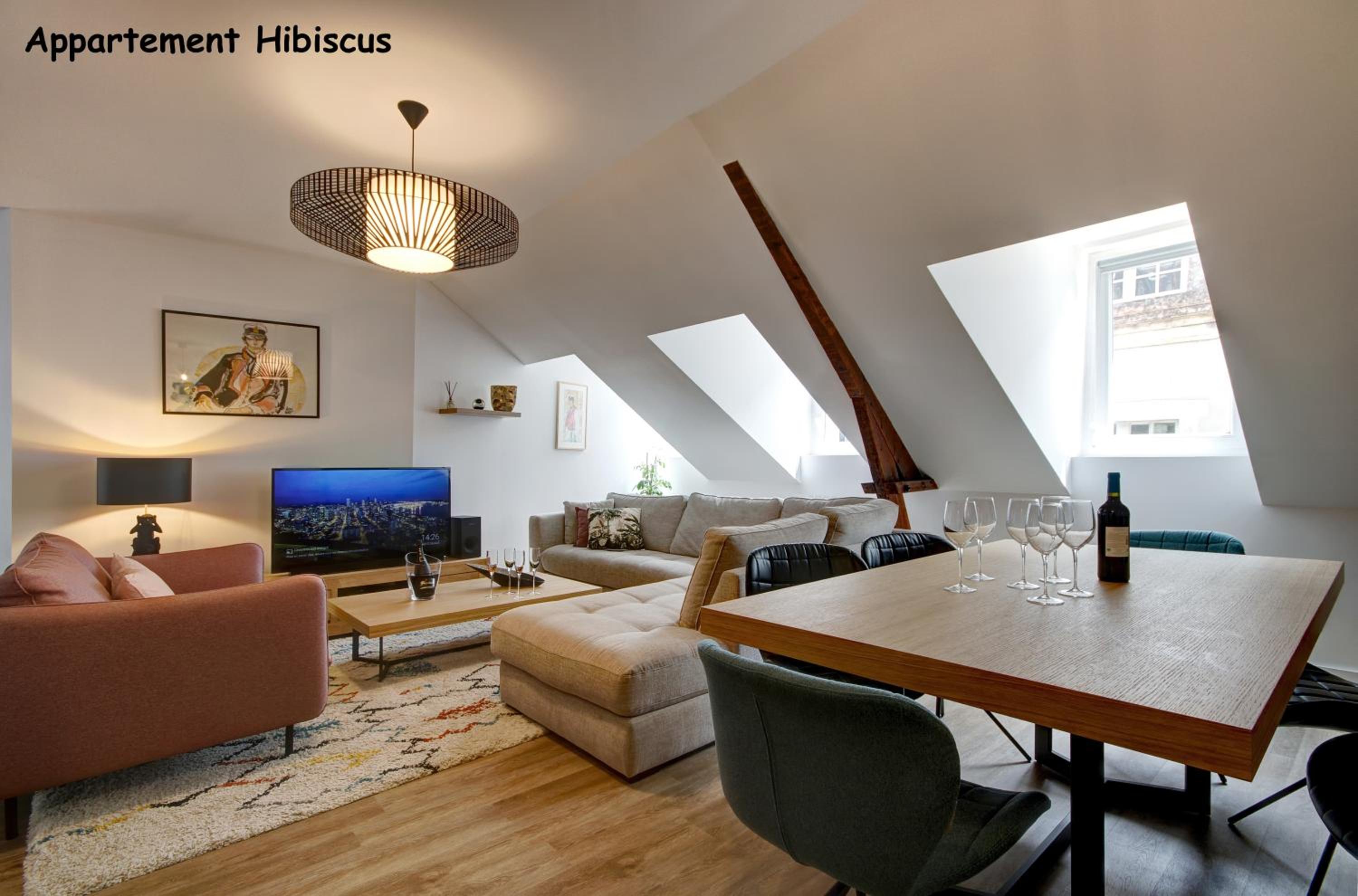 Appartements de caractère centre